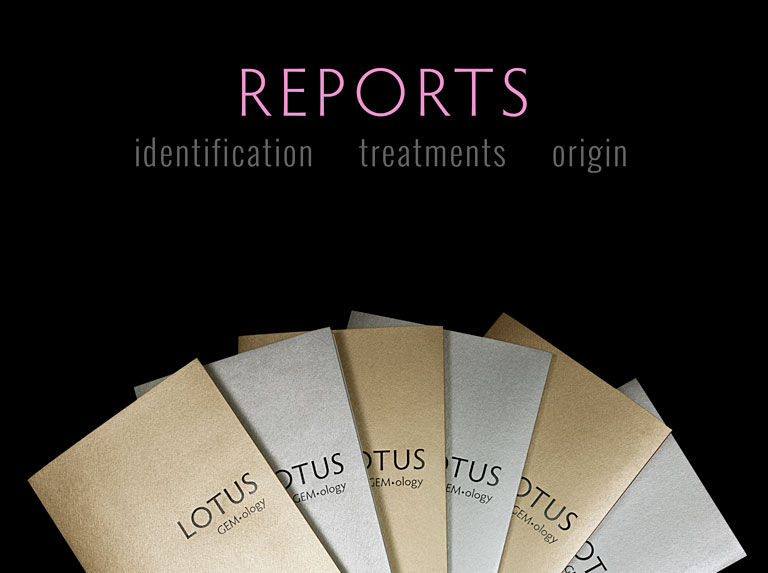Reports – Prices