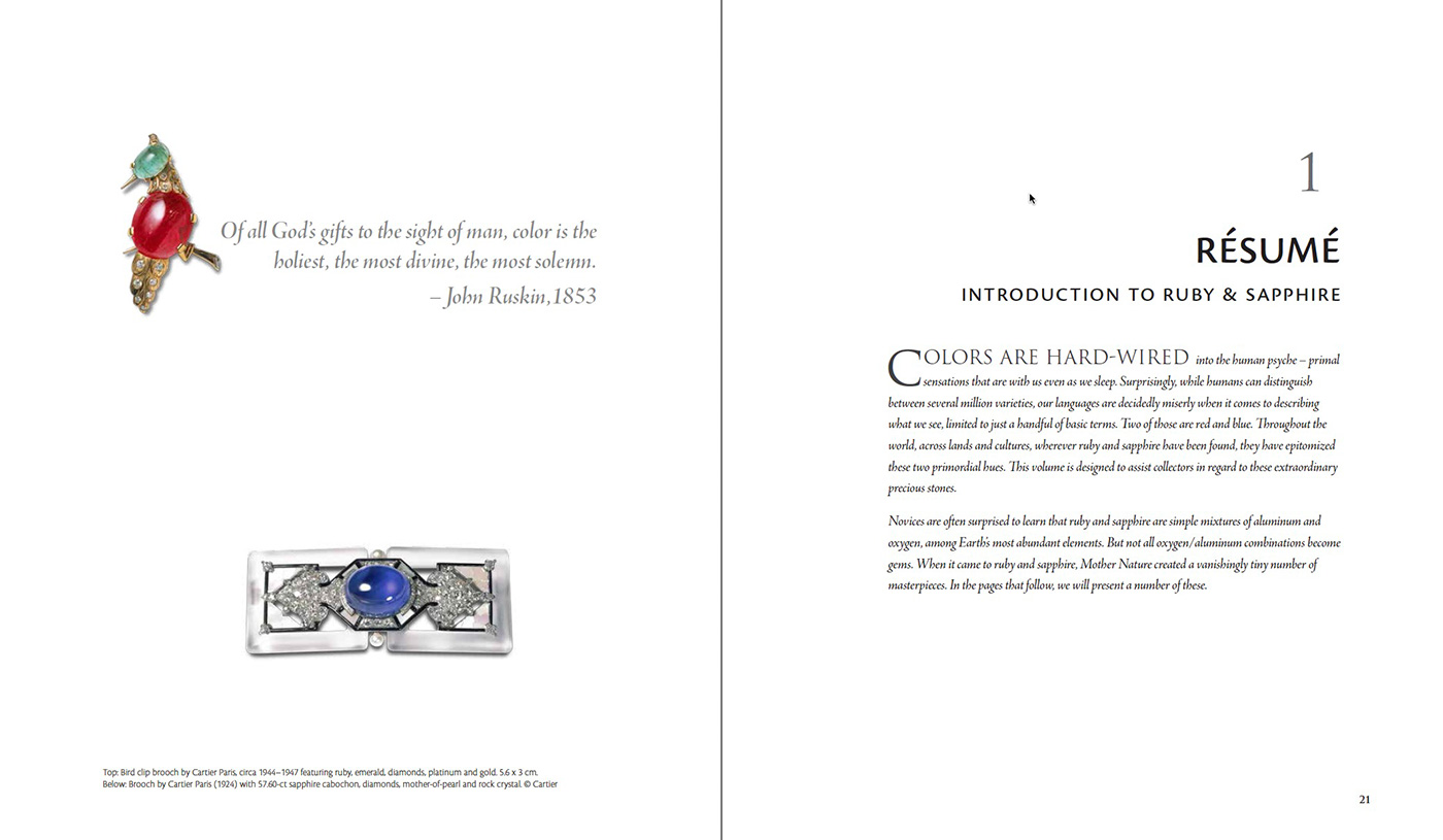 Ruby & Sapphire: A Collector's Guide – Résumé