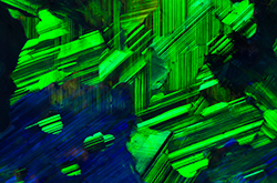 Microscopy & Photomicrography • Lecture • Birmingham, UK • 16 March 2020