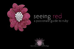 Ruby&ndash;Seeing Red