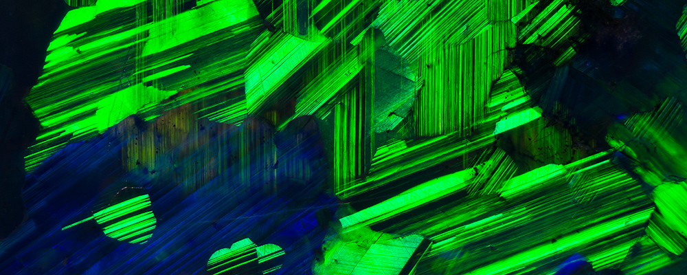 Microscopy & Photomicrography • Lecture • Birmingham, UK • 16 March 2020