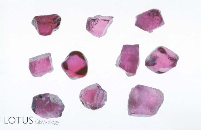 Figure 8. Ninth-century technique for heating ruby Möng Hsu ruby from Myanmar before (left) and after (right) low temperature heat treatment. The process used is just as described by al-Bīrūnī. The stones were heated in air to 1100°C for 20 hours. Clearly this process has greatly increased the value of these rubies by simply reducing the concentration of Fe2+–Ti4+ pairs by a few ppma, thus removing the blue colour zones. Photos: John L. Emmett Heat treatment of ruby was not the only gem enhancement mentioned by al-Bīrūnī. He also gave an extremely detailed description of pearl treatments and imitations (Sersen, 1991).