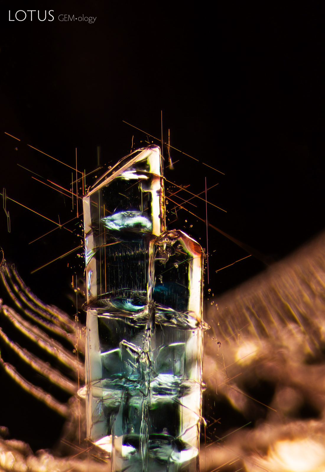 Blue apatite crystals are beautifully framed by prominent rutile needles in a garnet from Tanzania
