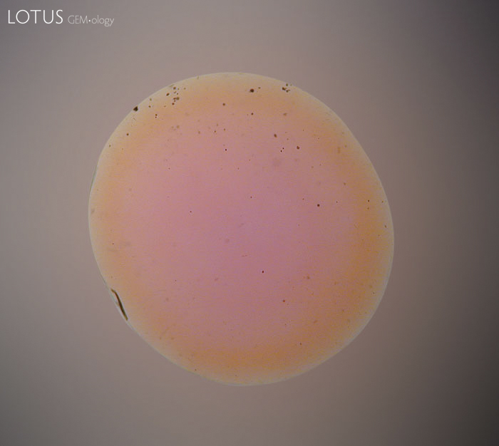 Figure 1. A beryllium-diffused sapphire. If it were not for the telltale yellow-orange color rim in immersion, this treatment may have gone unnoticed for many years. Photo: Richard W. Hughes