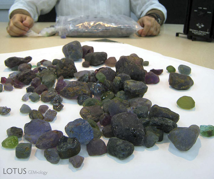 Figure 3. Cuprian (para&iacute;ba) tourmaline rough from Mozambique. Some observers suggested the stains in these stones were the result of lattice diffusion treatment (Federman, 2009), but the claim was easily disproved by experimentation (Saeseaw, S. & Scarratt, K., 2009). To answer the kinds of questions that face gemologists today, experimentation must become an integral part of gemology. Photo: Richard W. Hughes; specimens: Miranda Gems.