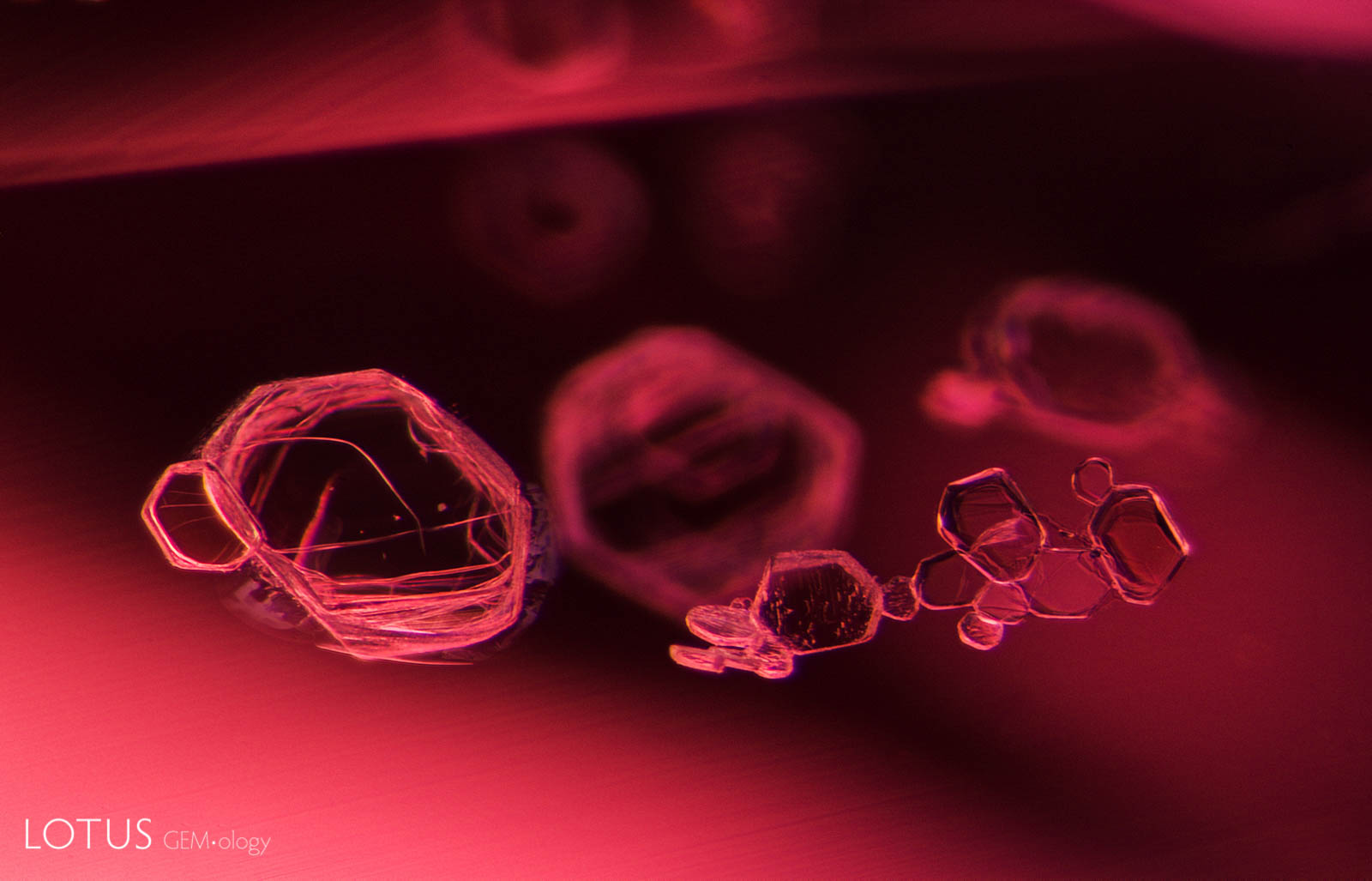 Small transparent crystals form clusters in a Vietnamese spinel. These tabular crystals are transparent and doubly refractive. Dark field illumination. Photo: E. Billie Hughes