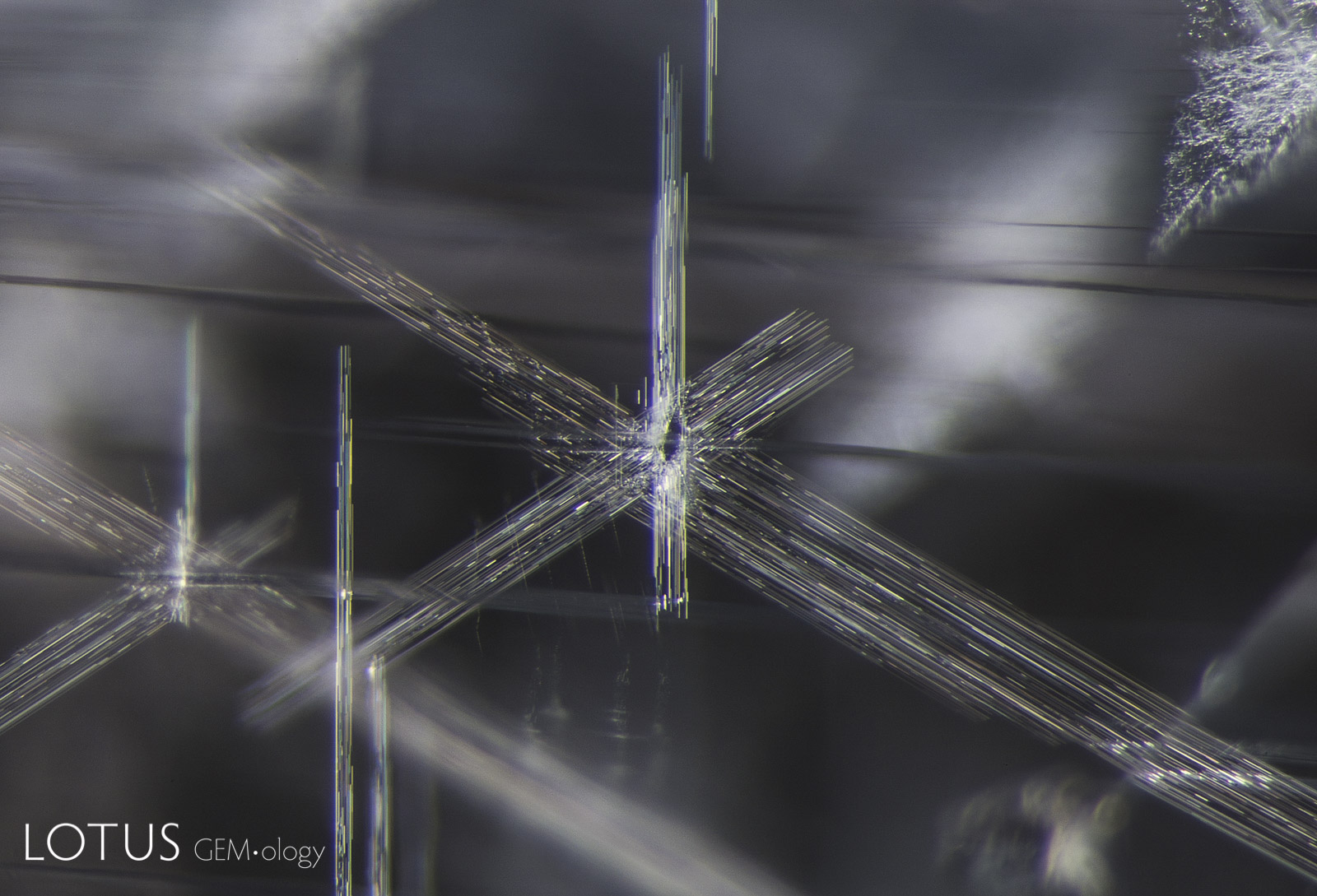 Stellate dislocations decorate the interior of this spinel from Vietnam. We also often see such dislocation needles in material from Sri Lanka. Diffuse oblique fiber optic illumination. Photo: E. Billie Hughes