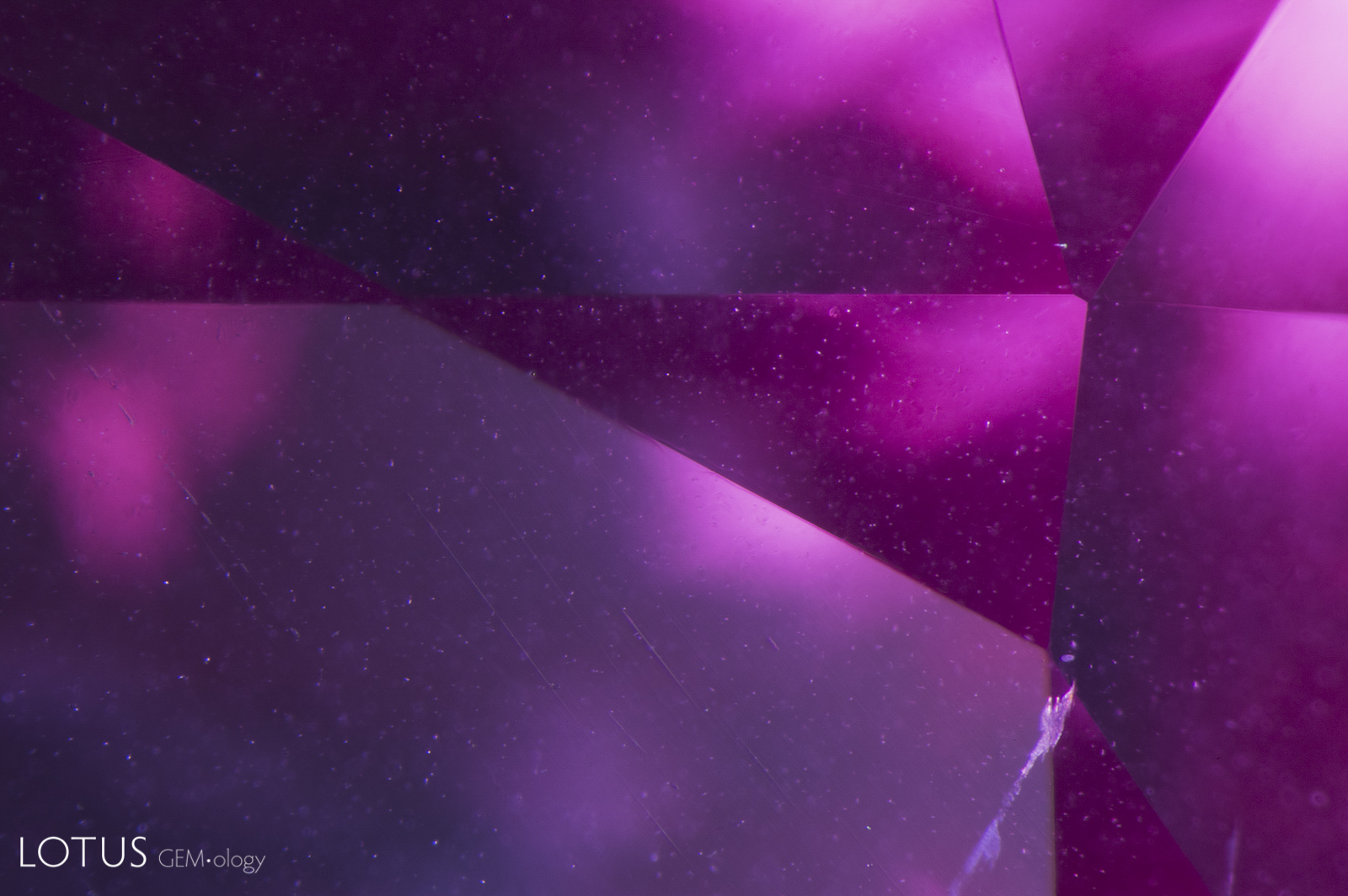 At first glance the tiny exsolved particles in this spinel from Mahenge, Tanzania, may look like specks of dust. Upon close observation we can see that they are actually scattered throughout the stone, not on the surface. These dust-like particles are a common feature in Mahenge spinel. Diffuse oblique fiber optic illumination. Photo: E. Billie Hughes