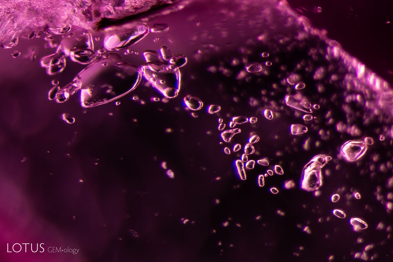 The same calcite crystals in darkfield illumination.