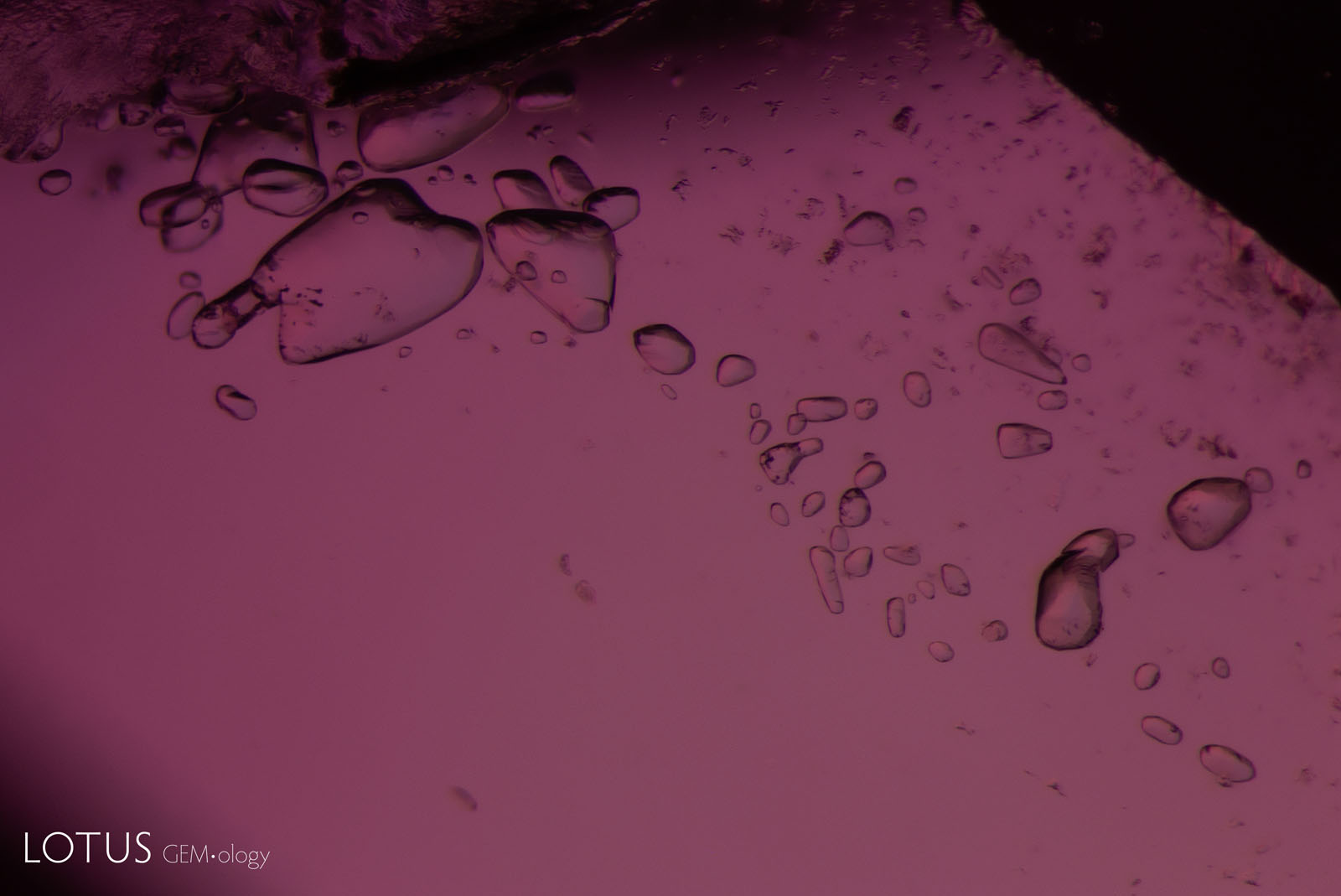 In sample 5, transmitted light reveals a variety of transparent rounded crystals of relatively high relief compared to the surrounding corundum. They appear to be nearly colorless.