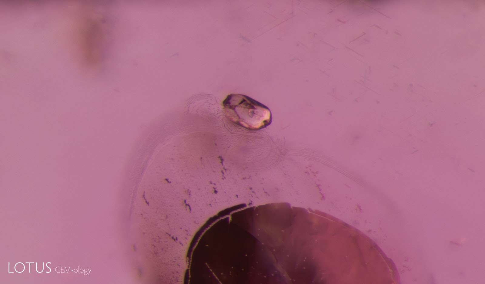 (900°C)The fissure has begun to heal at the edges, creating a “fingerprint” pattern at the top and leaving a glassy area at the bottom.