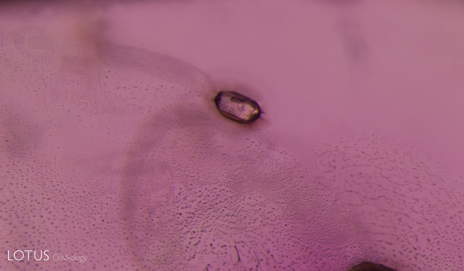 (1500°C)The fingerprint has expanded, and many of the elongated channels have “necked down” to form smaller bubble-like features.