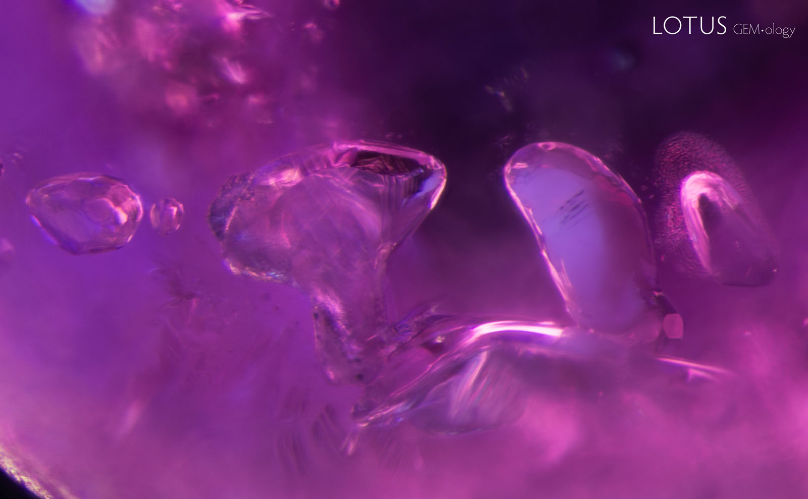 (900°C) Note the significant changes to the crystal second from the right, which has taken on a whitish appearance and become opaque.