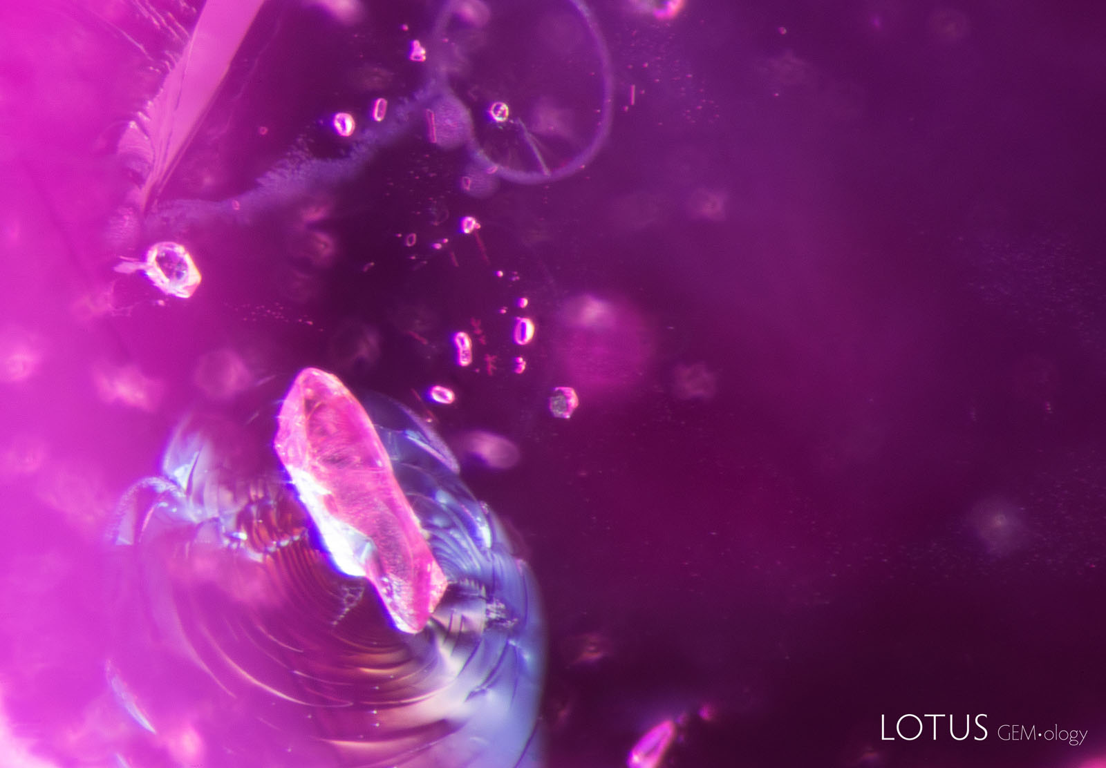 (900°C) The scene shows obvious signs of heat alteration. In addition to the fissures seen earlier, glassy discoids appear around crystals in the background, and a shiny fissure is conspicuous around the biotite crystal in the foreground.