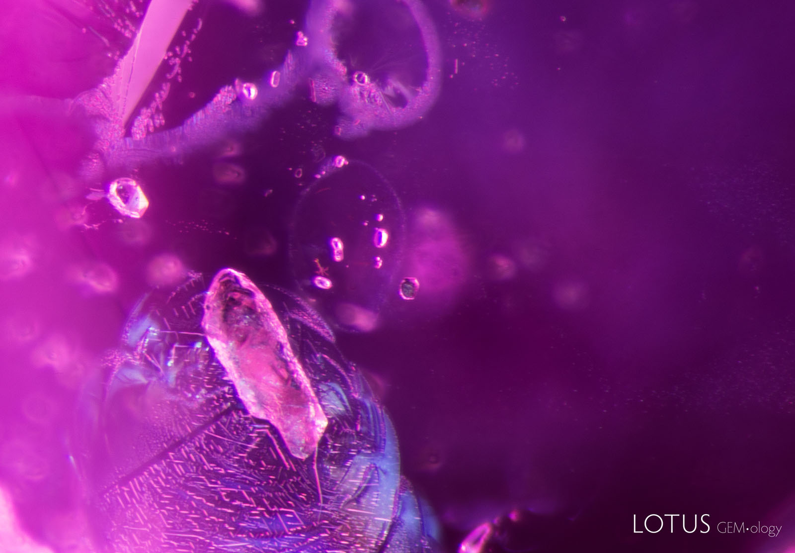(1100°C) Some fissures have begun to heal; the glassy fissure around the biotite crystal has developed elongated channels, and the partially healed edges of the glassy discoid at the top of the frame have started to neck down and become wider.