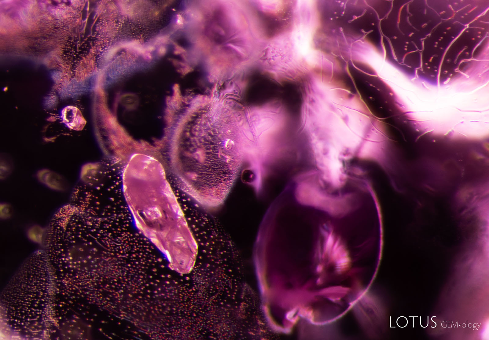 (1500°C) The scene has changed dramatically; glassy discoids and partially healed fissures with a melted appearance are visible across the field of view, and the biotite crystal has developed an immobile gas bubble in its center. Images A and B were captured with darkfield illumination; diffused fiber-optic illumination has been added in C–E to reveal the fissures more clearly.