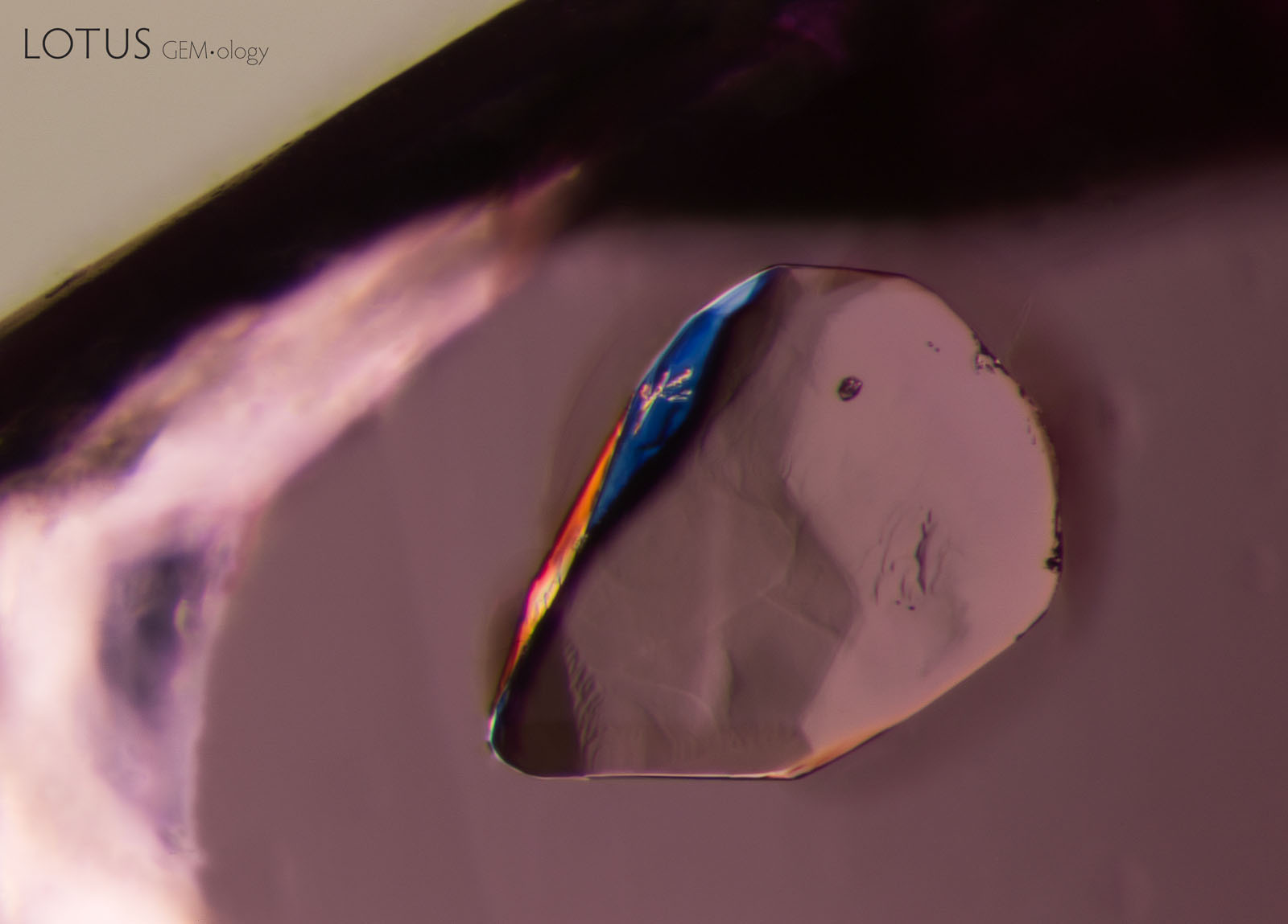 (Unheated) A sphene crystal stands out in high relief in sample 10. Heating to 600°, 750°, and 900°C created no noticeable changes.