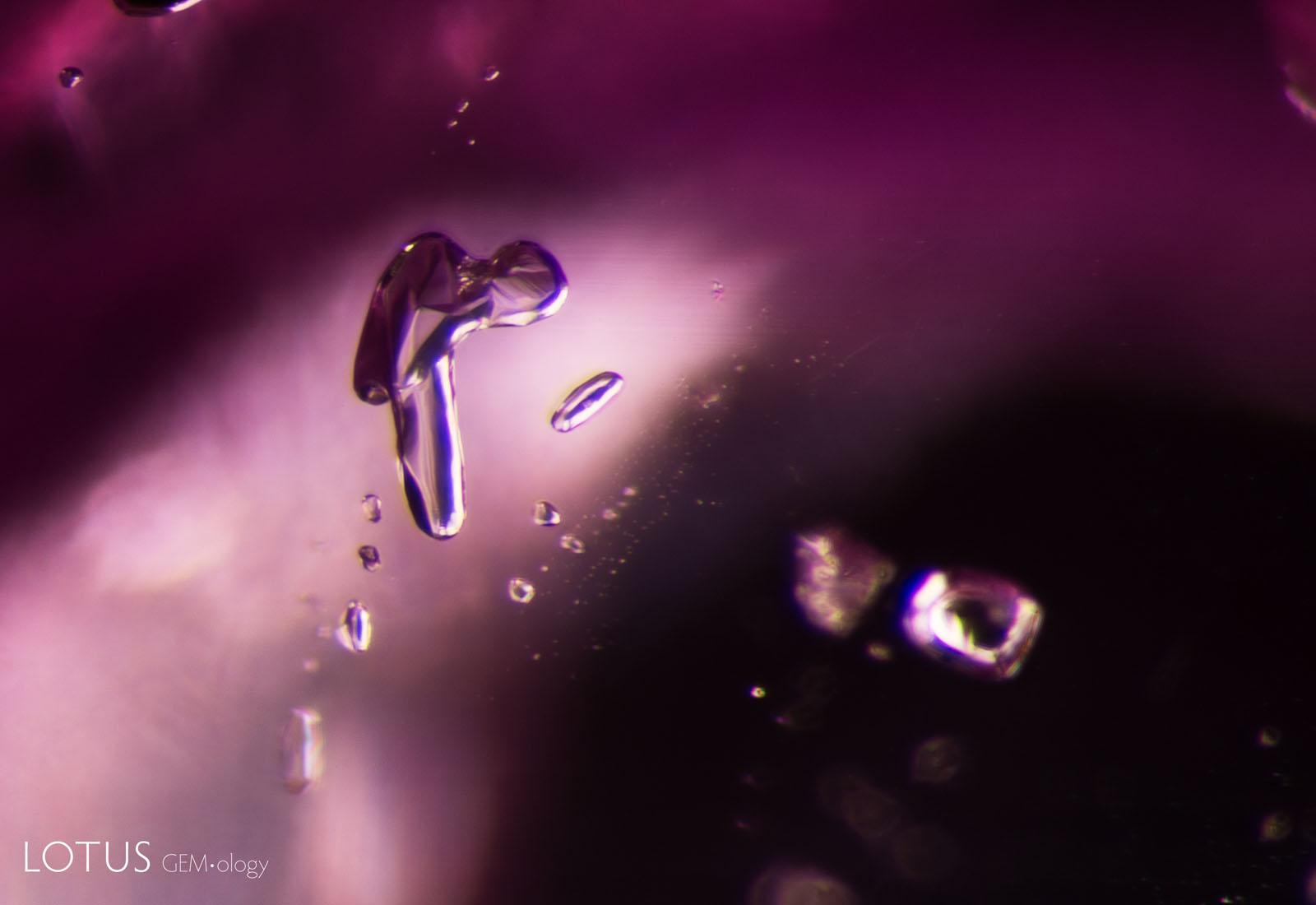 (Unheated) This scapolite crystal in sample 12 displays a distinctive shape, similar to a lowercase “r.”
