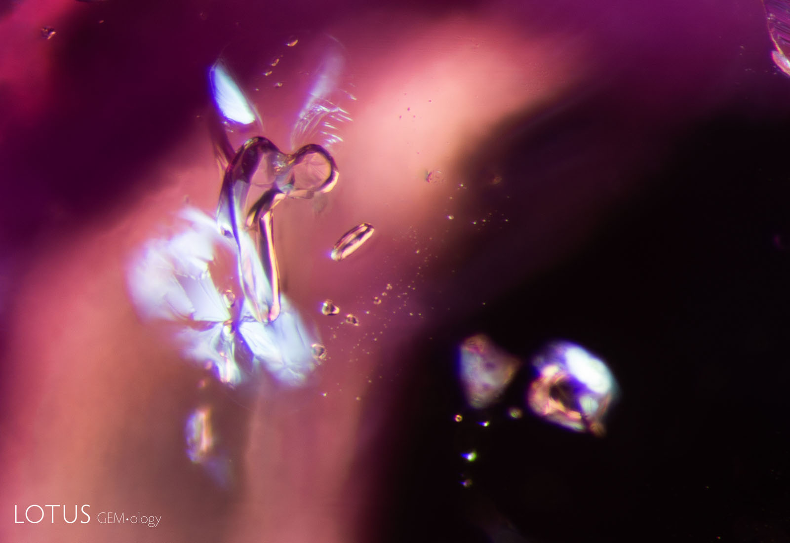 (900°C) The scapolite begins showing signs of alteration. Diffused fiber-optic illumination was added to the darkfield illumination used for the previous image to highlight the shiny fissures that developed around the scapolite.