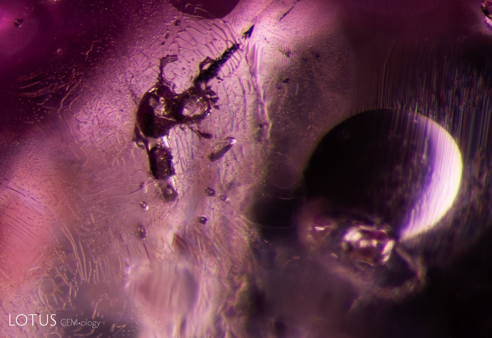 (1500°C) Major changes are evident, as many fissures have formed and then healed with elongated channels that have a drippy appearance. The scapolite crystal has developed opaque areas and immobile gas bubbles.