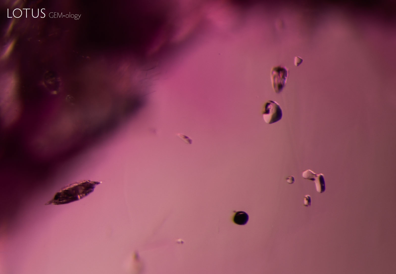 (Unheated) A variety of solid inclusions are present in sample 22. At left is a crystal containing diaspore, on the right are several transparent spinel crystals, and at the bottom right is a dark, rounded crystal of primary rutile.