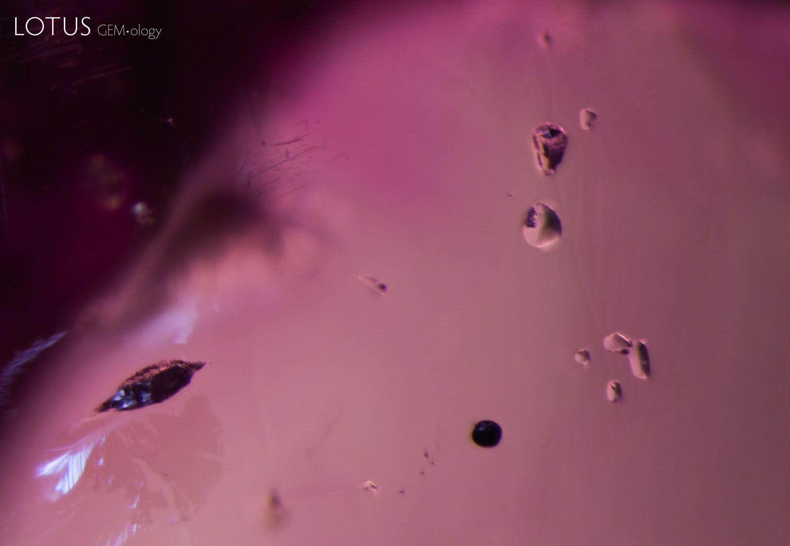 B: (600°C) Changes are already visible, with a glassy fissure around the diaspore crystal on the left. Diffused fiber-optic illumination has been added to the transmitted light used for the other images in this set to accentuate the fissure.
