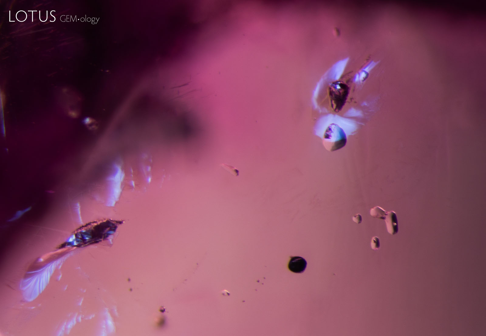 C: (750°C) A fissure has also developed around the top of the spinel crystal. Again, diffused fiber-optic illumination has been added.