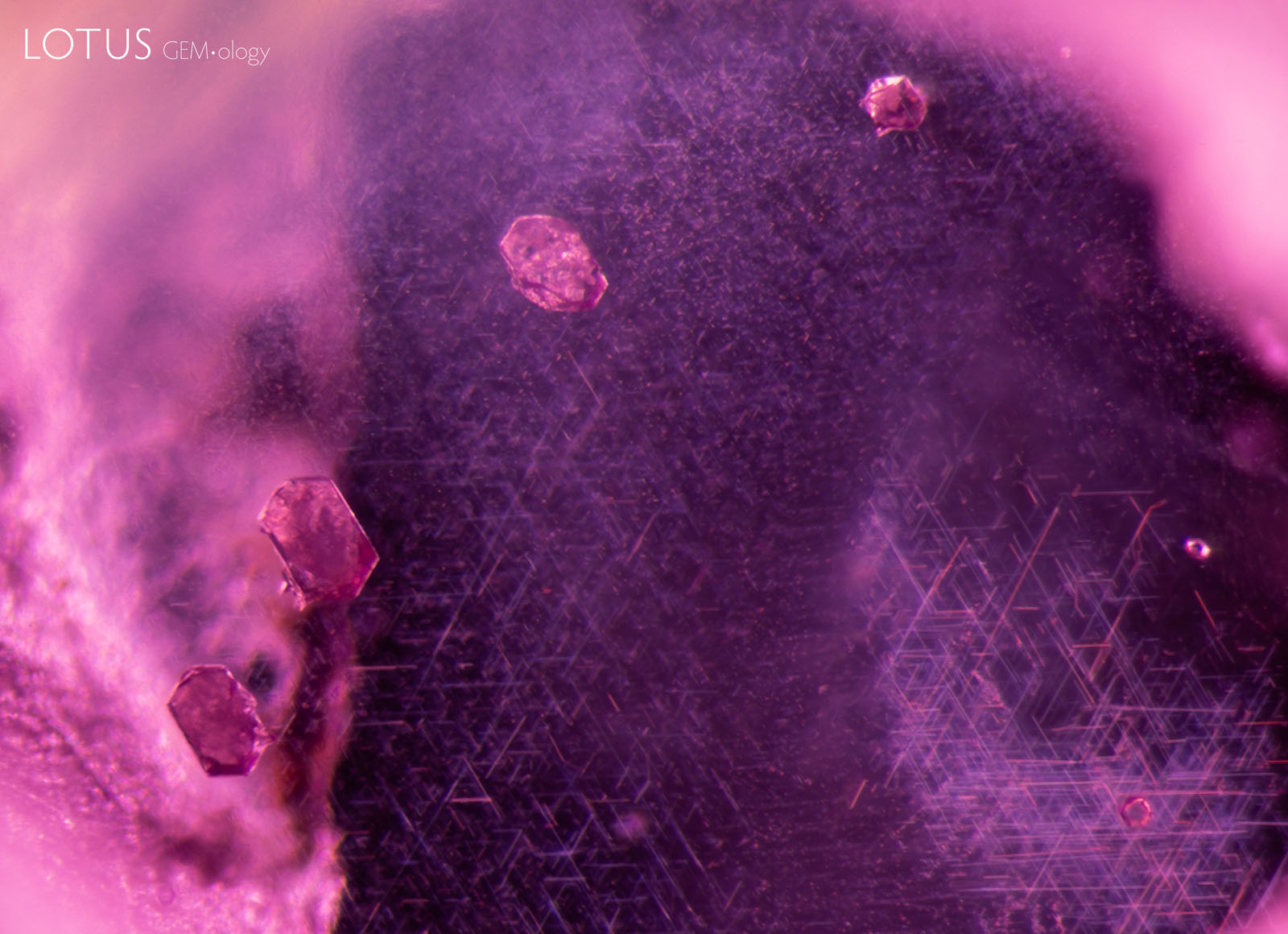(Unheated) In sample 25, the three hexagonal crystals on the left are mica, while the crystal at top right is garnet. The scene also contains nests of undissolved rutile silk in intersecting needles.