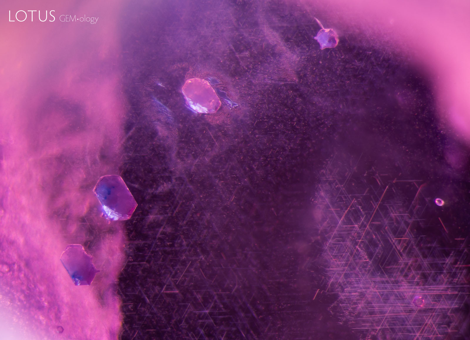 (900°C) All four crystals have altered, and the fissures have begun to heal at the edges.