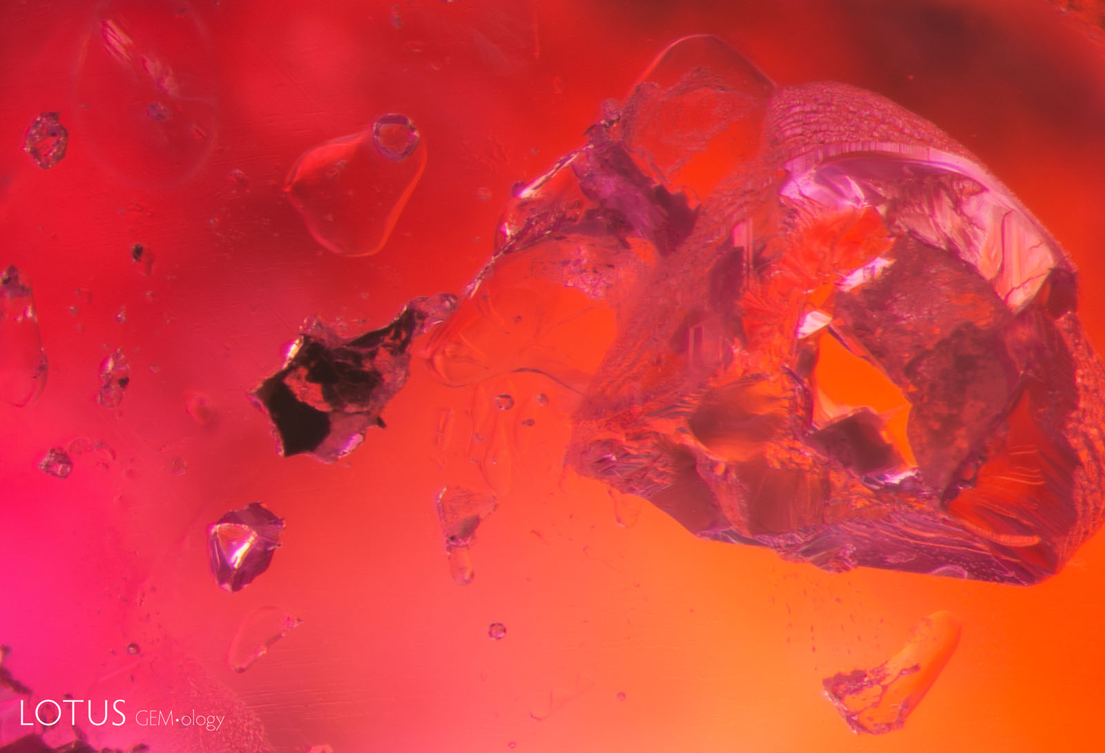 (750°C)The crystal to the right has exploded, leaving a small surface-reaching hole. On the top left, a glassy discoid can be seen around a small crystal.