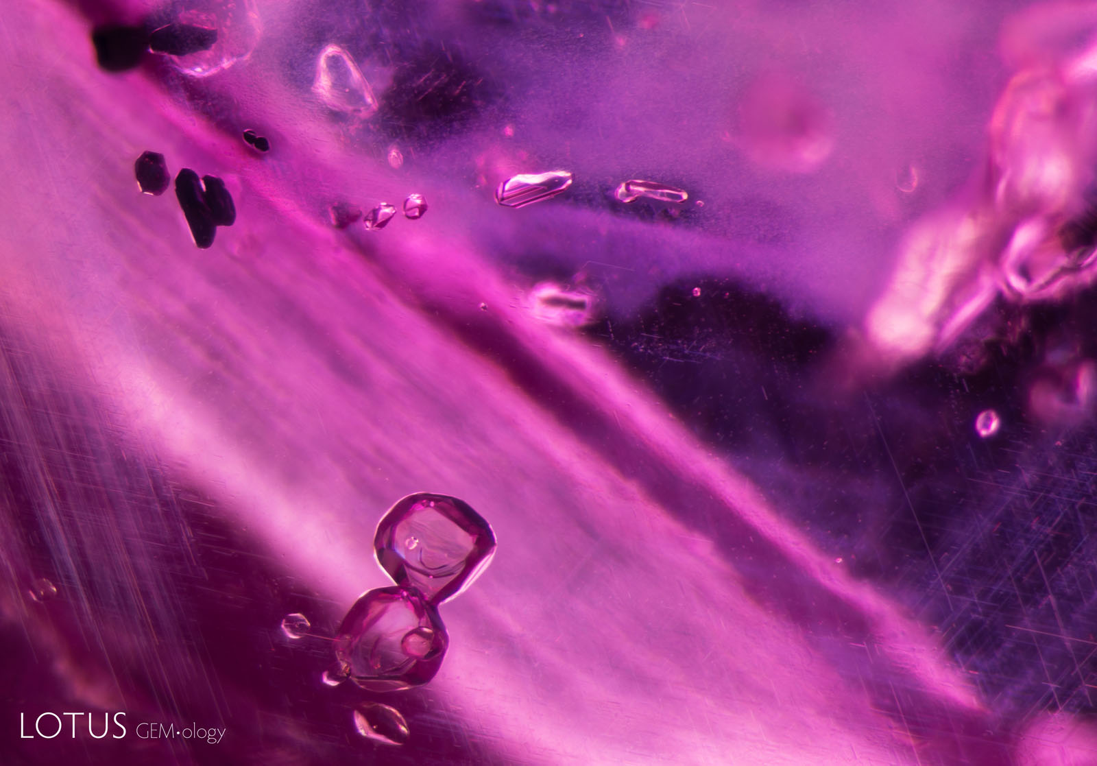 (Unheated) At the bottom are rounded apatite crystals in sample 37. Toward the top left are dark primary rutile crystals, and at top center are transparent feldspar crystals.