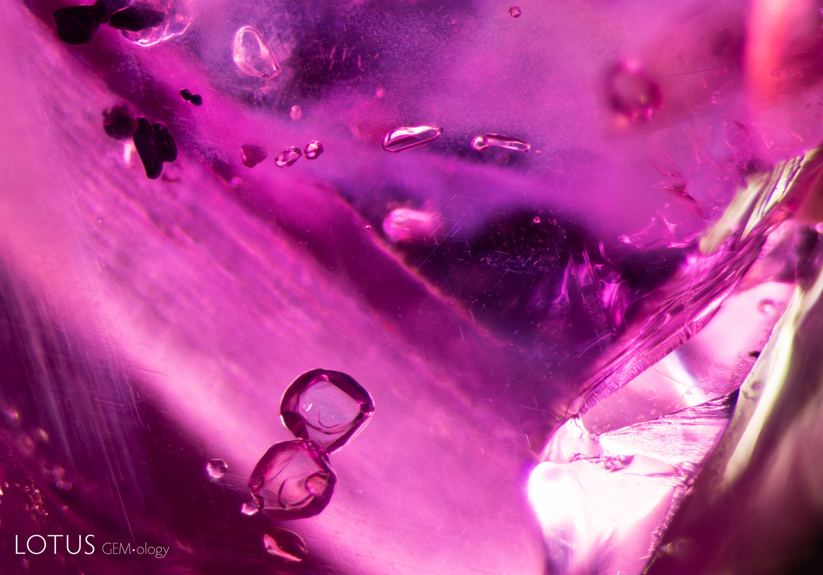 (900°C) A portion of the sample has broken at the bottom right corner, yet the scene appears largely unaltered.