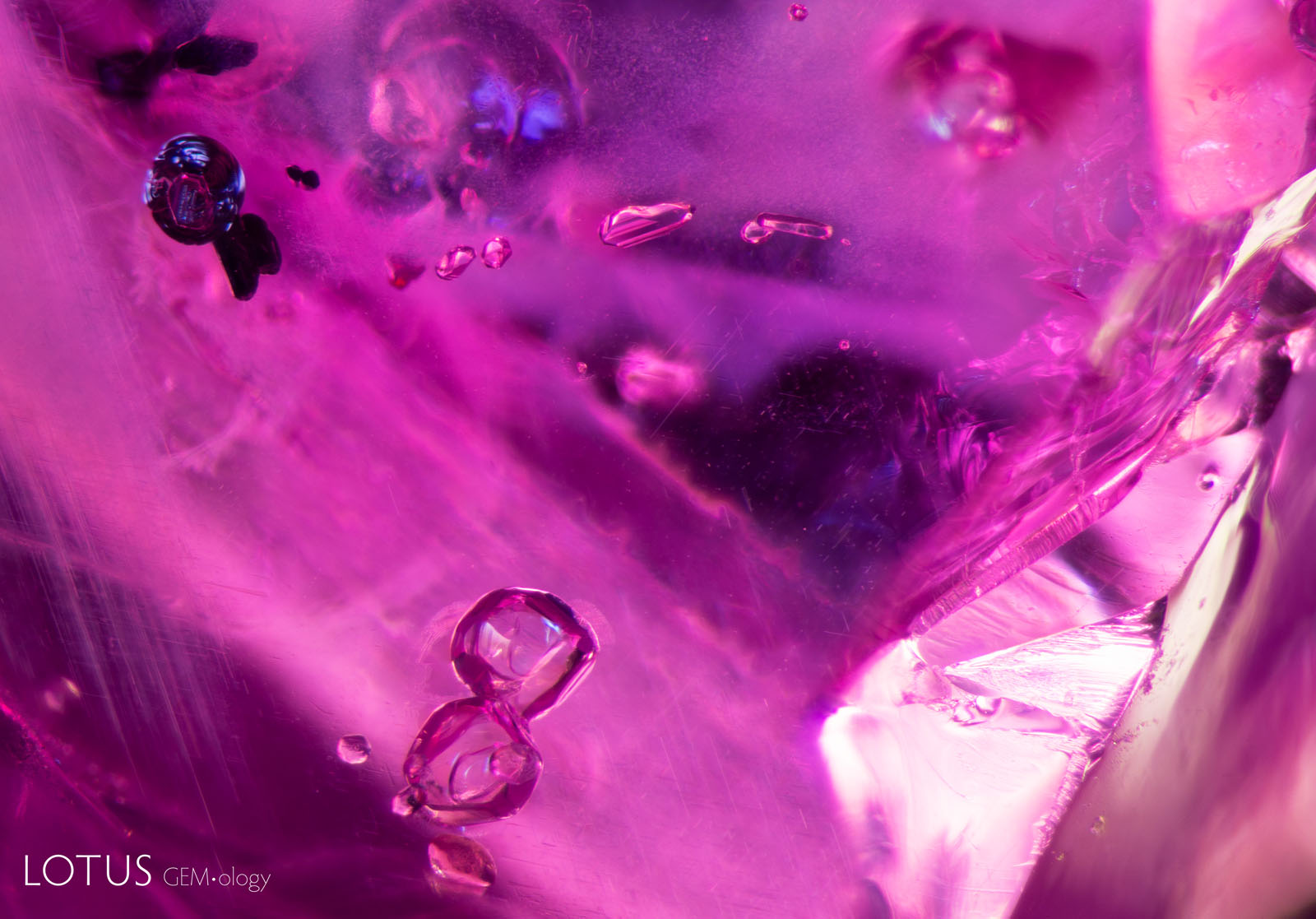 (1100°C) One of the small rutile crystals at top left has a dark, shiny discoid around it, and glassy fissures appear in the background at the top. Small fissures are developing around the apatite crystals at the bottom.