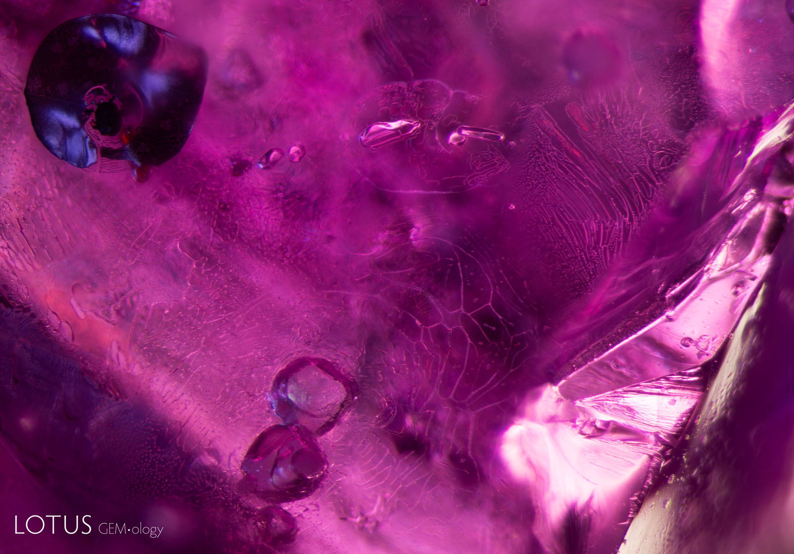 (1500°C) The shiny dark discoid in the top left corner has expanded, and large drippy fingerprints are prominent across the scene.