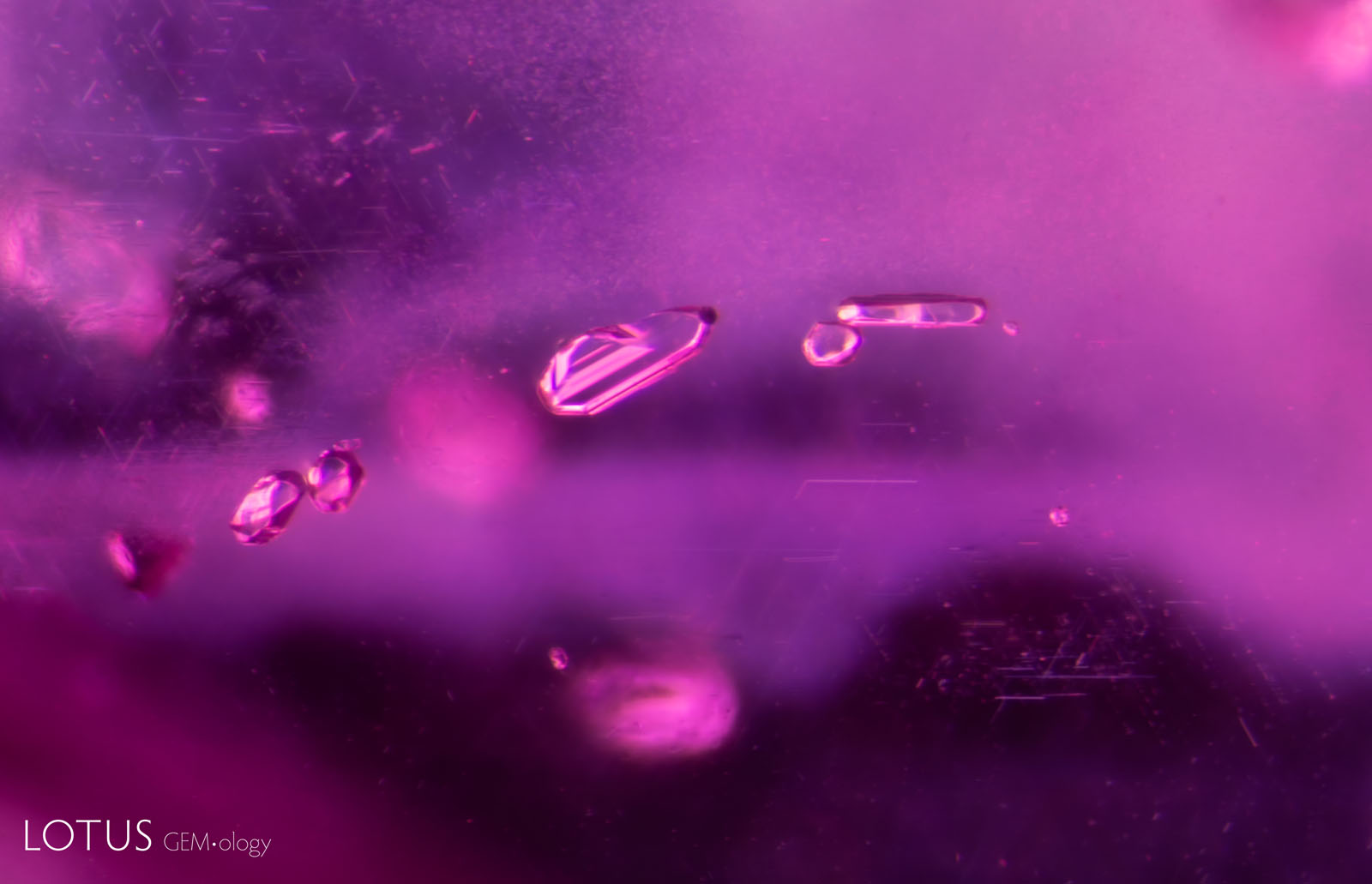 (Unheated) A cluster of feldspar crystals in sample 37 that show no alteration through several rounds of heating.