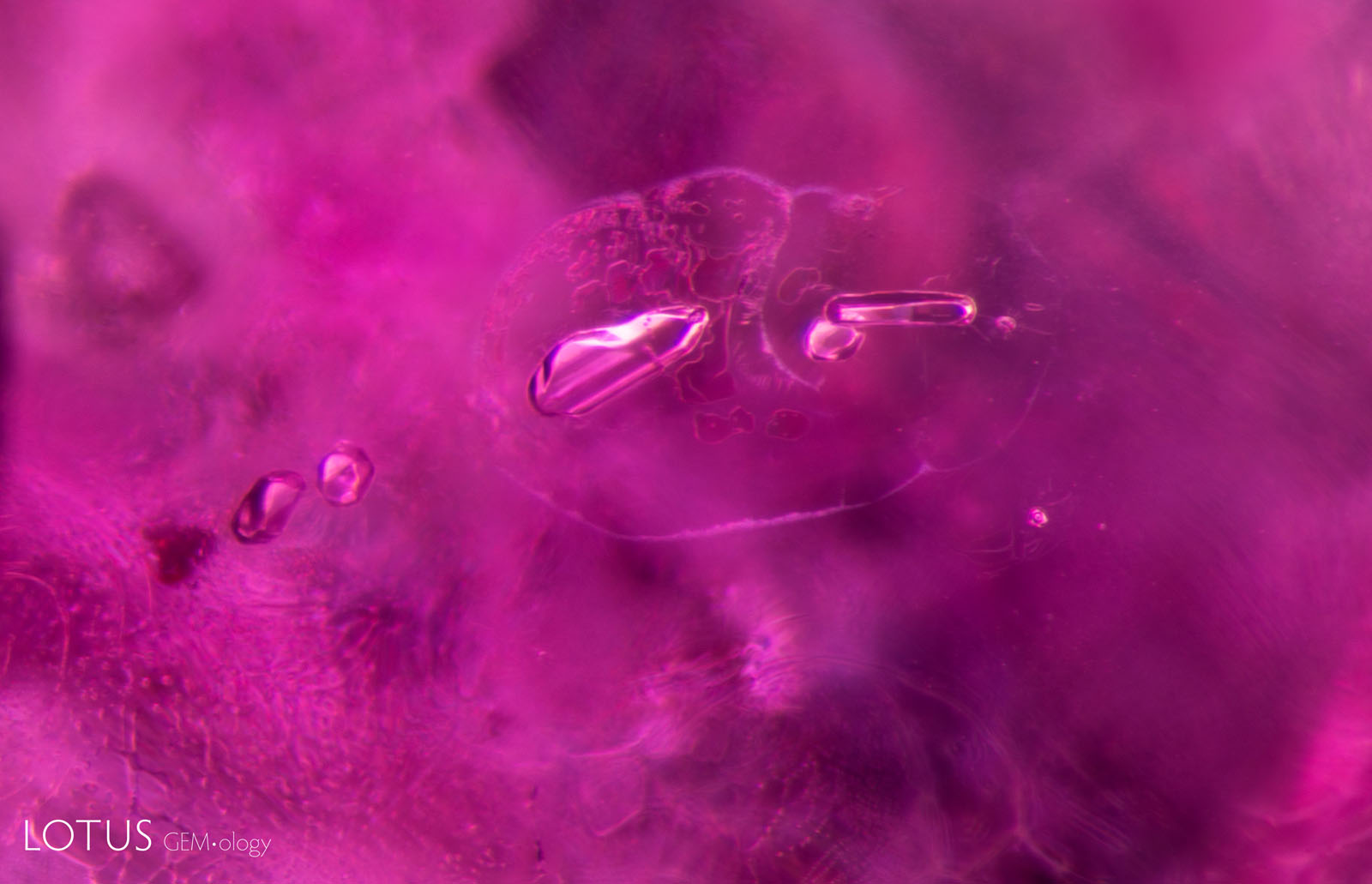 (1500°C) Many more fissures have developed, including some around the feldspar crystals in the center.
