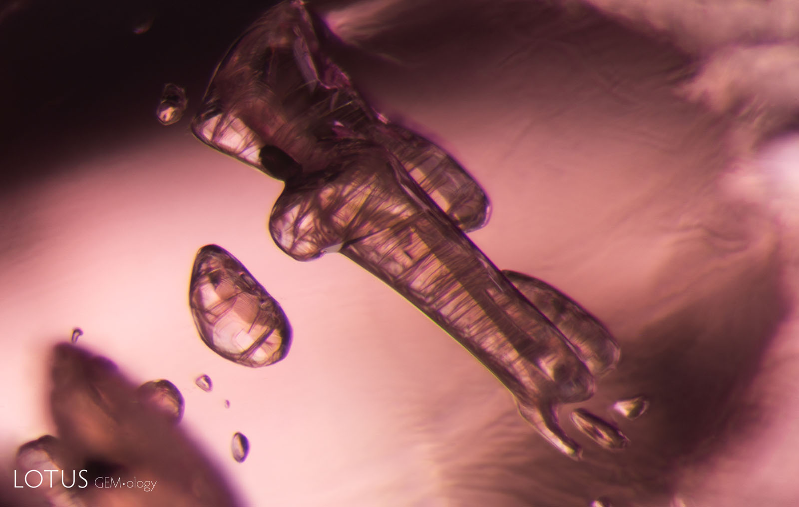 (Unheated) These mica crystals in sample 40 show a series of striations.