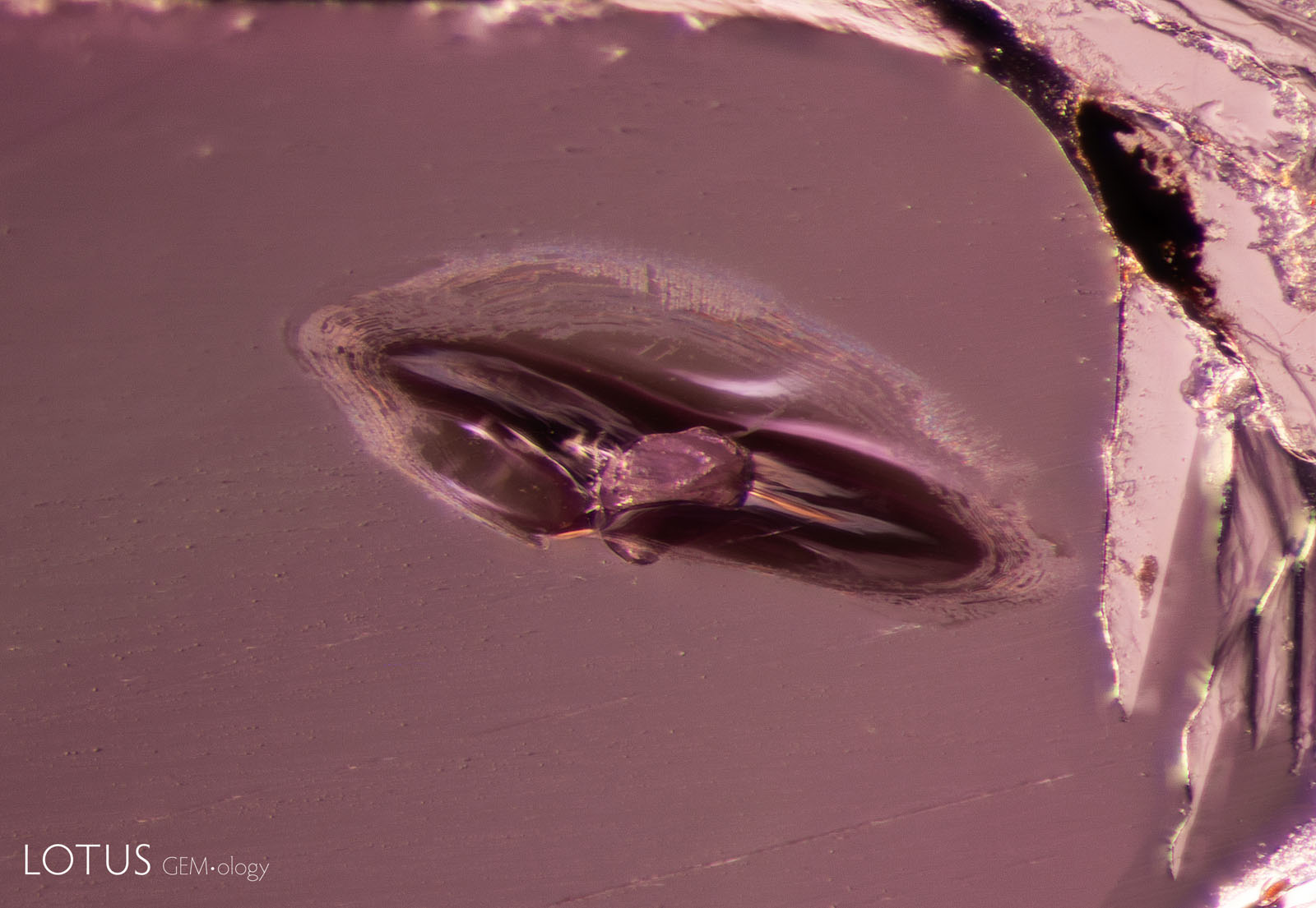 (600°C) A glassy fissure has developed around the crystal.