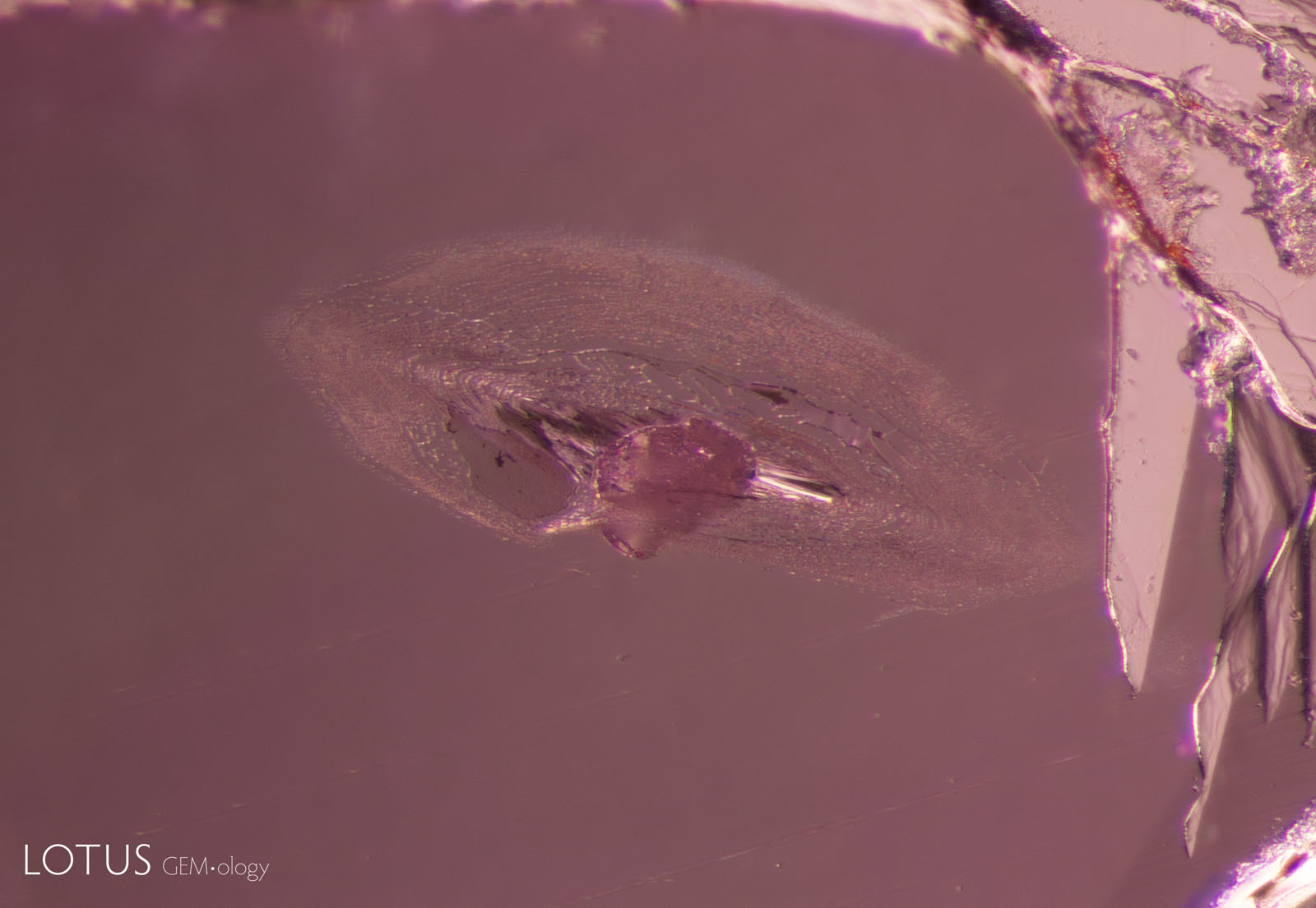 (1100°C) Almost all of the glassy areas have disappeared as the fissure has healed. Meanwhile, the calcite crystal has become more opaque.