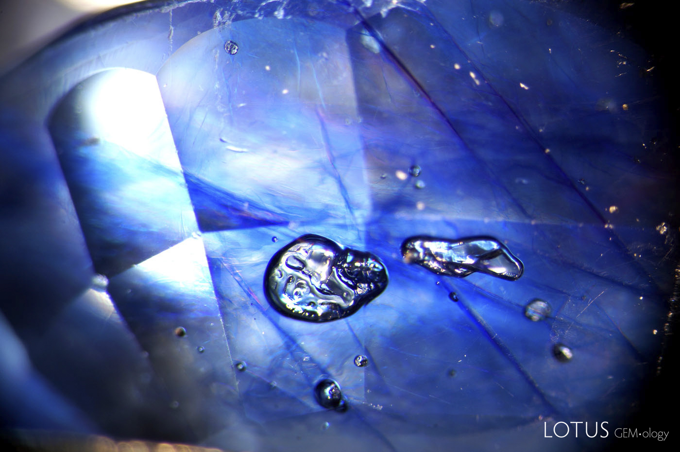 Figure 8. Flattened gas bubbles stand out in high relief in the glass filler of this cobalt-glass filled sapphire. Oblique fiber-optic illumination. Photo: Wimon Manorotkul