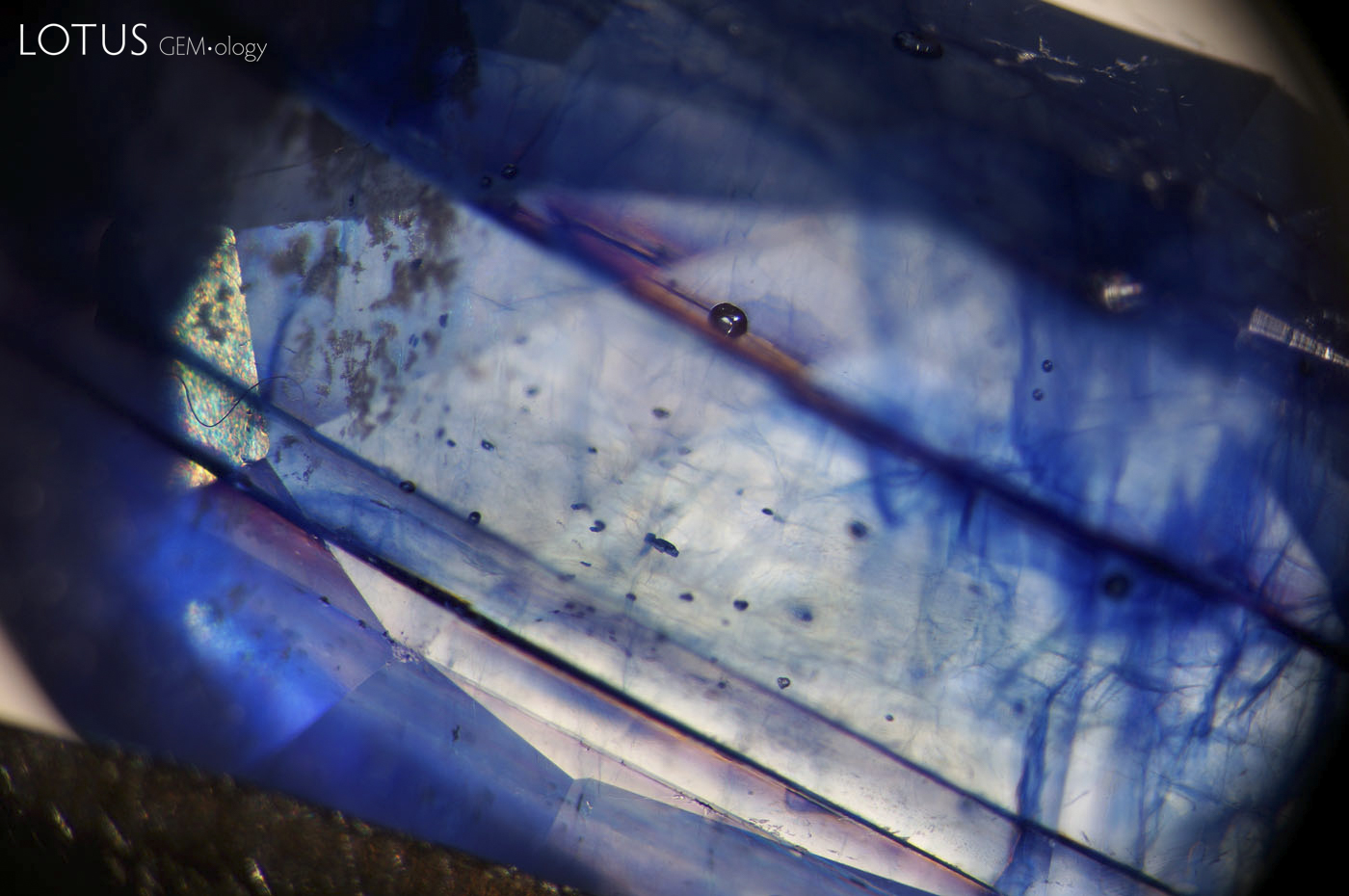 Figure 11. When viewed with transmitted light field illumination, rich blue color concentrations are found in the fissures. Photo: Wimon Manorotkul