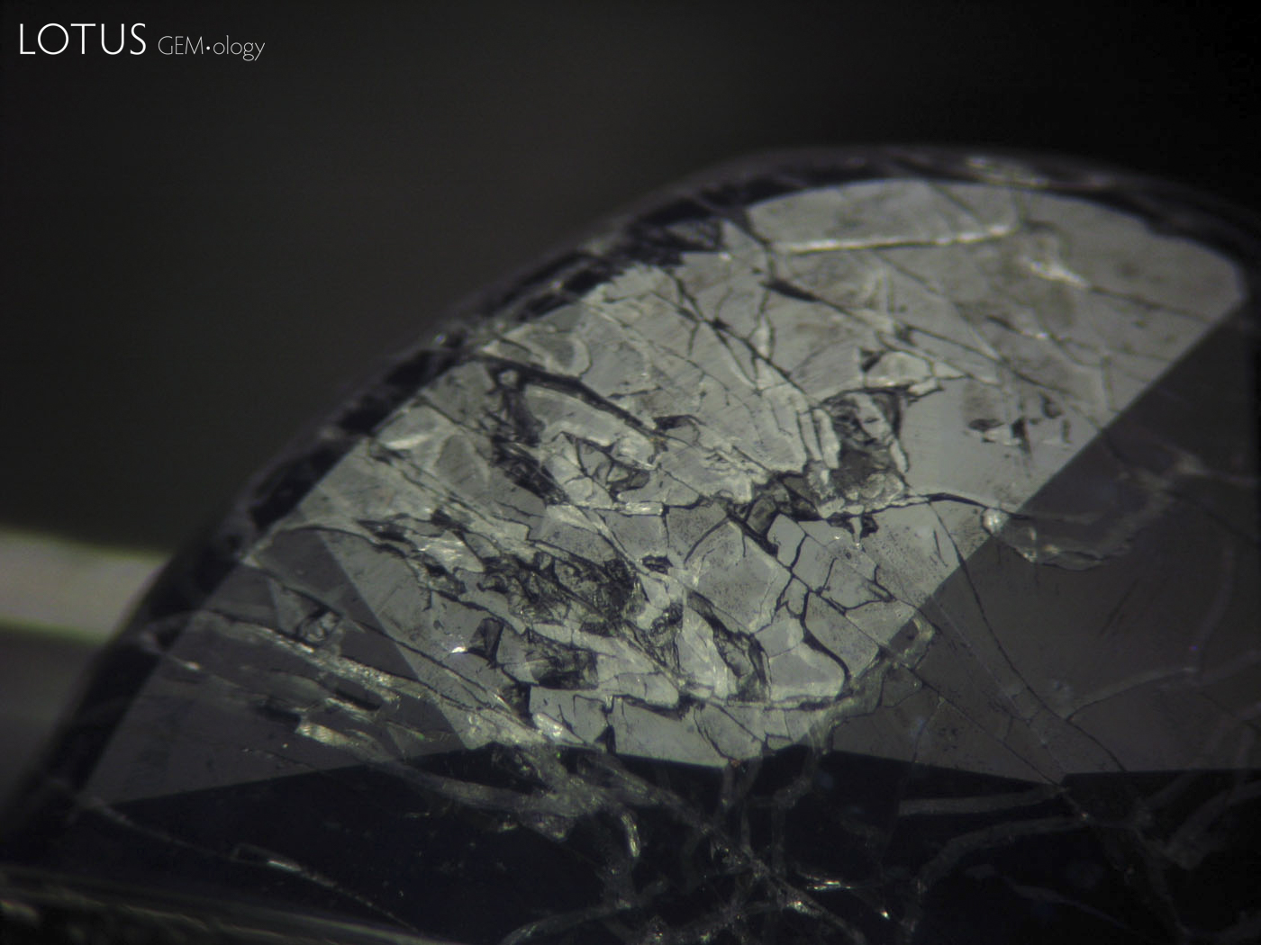 Figure 17. Boiling in a strongly basic solution (sodium hydroxide) for ten minutes caused the glass filler to quickly deteriorate. Photo: Thanong Leelawatanasuk