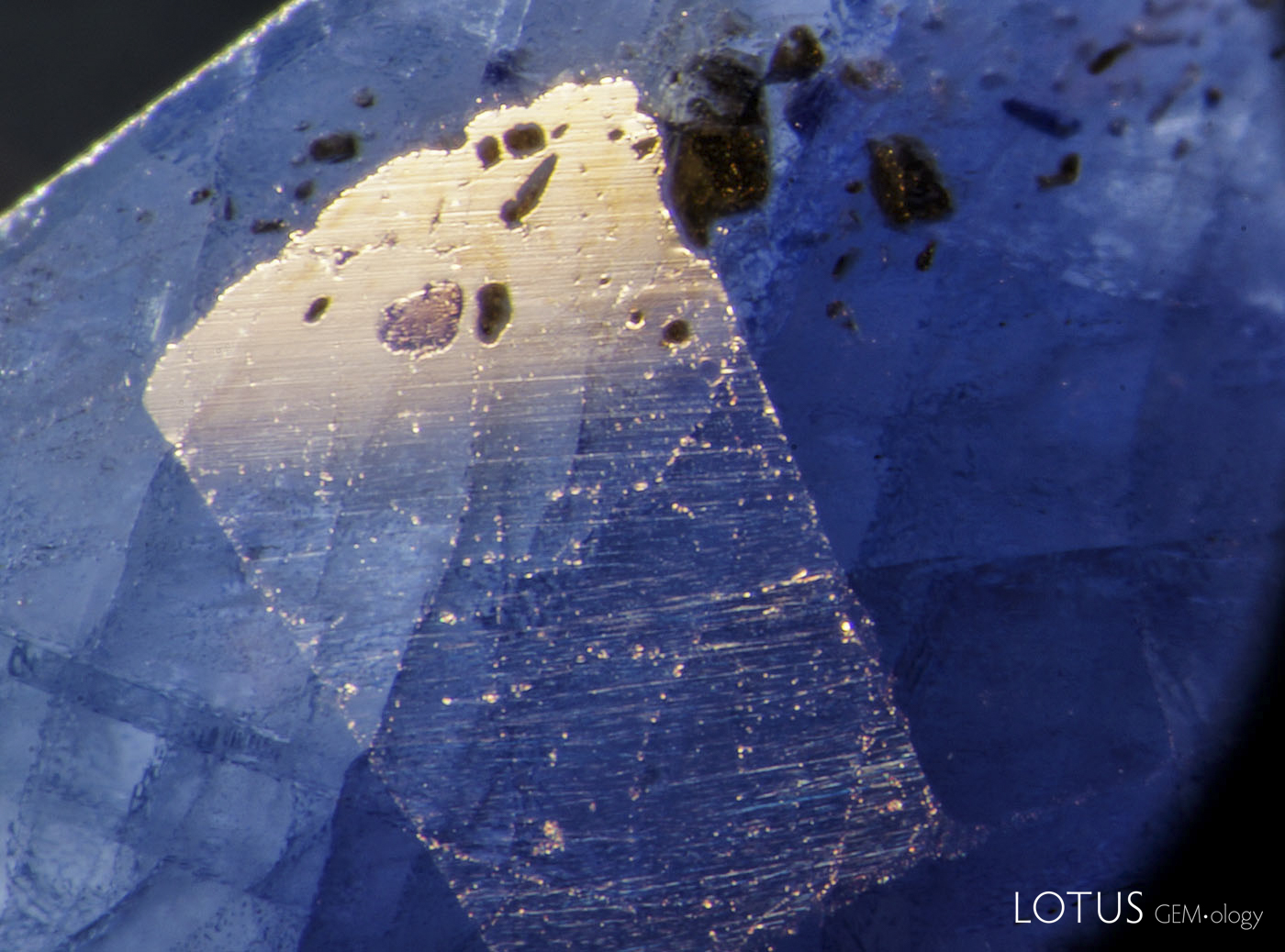 Figure 5. Left: Blue pool of cobalt-doped glass fills a surface cavity in this first-generation Tanusorn stone. Dark-field illumination. Right: The same inclusion in reflected light reveals the lower luster of the glass filler. Oblique fiber-optic illumination. Photos: Richard Hughes