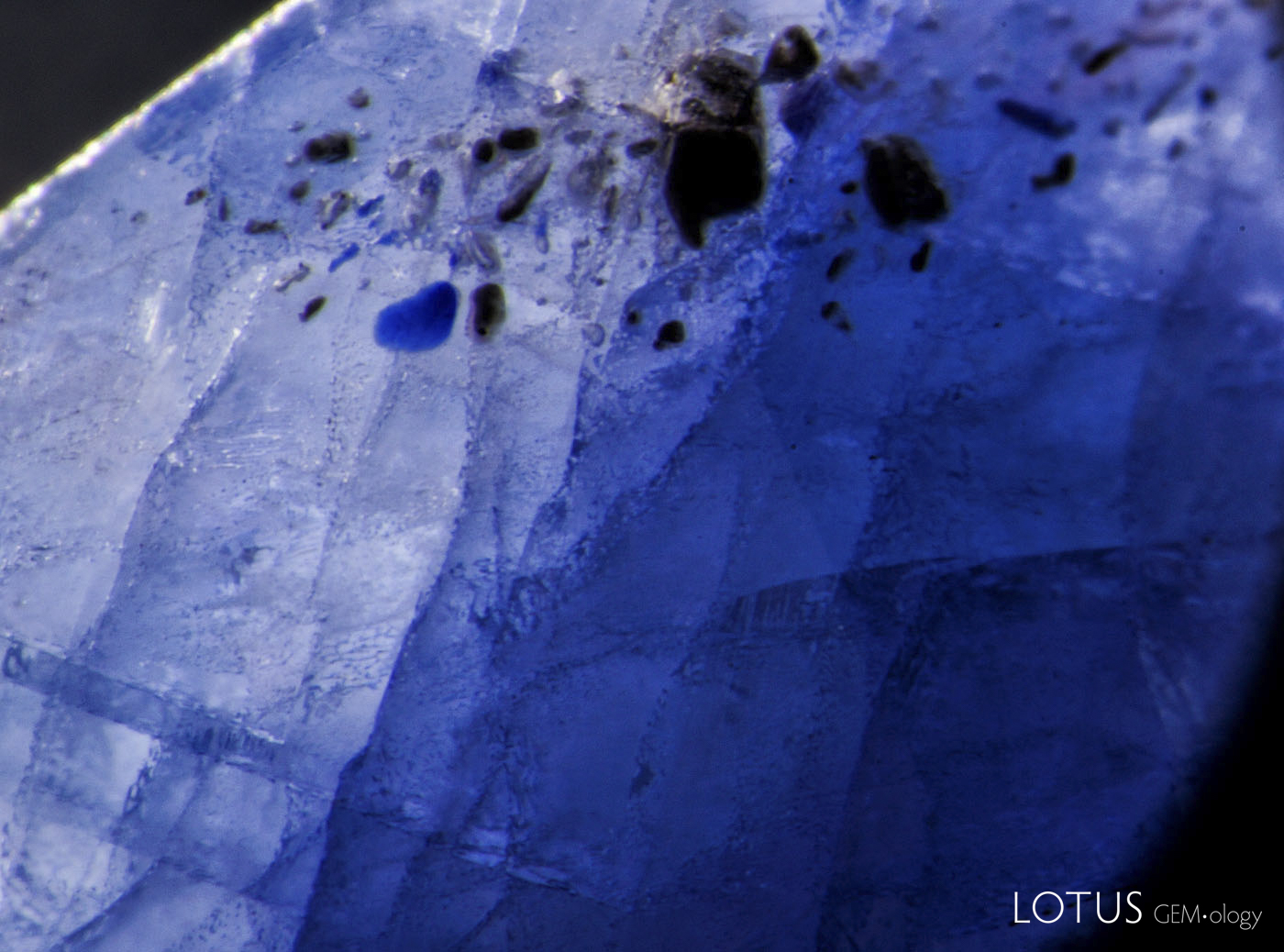 Figure 5. Left: Blue pool of cobalt-doped glass fills a surface cavity in this first-generation Tanusorn stone. Dark-field illumination. Right: The same inclusion in reflected light reveals the lower luster of the glass filler. Oblique fiber-optic illumination. (Photos: Richard Hughes). Lotus Gemology.