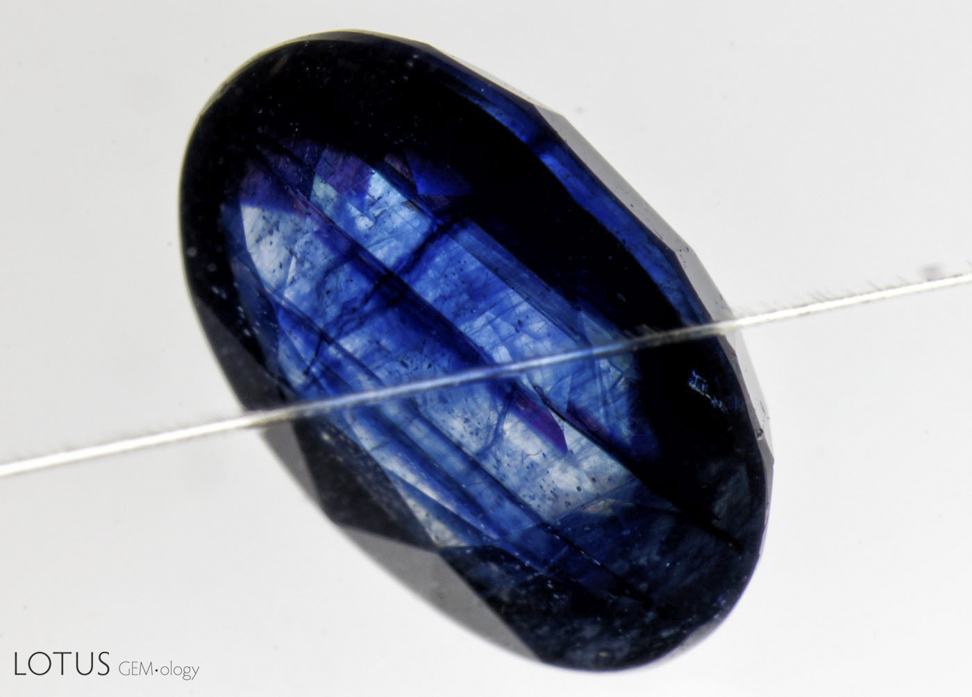 Figure 4. Testing with a London dichroscope revealed no pleochroism when inclined to the c-axis, as shown in the photo above. Natural, heat-treated, Ti-diffusion treated and synthetic sapphires will show obvious pleochroism in stones with this depth of color. Photo: Wimon Manorotkul