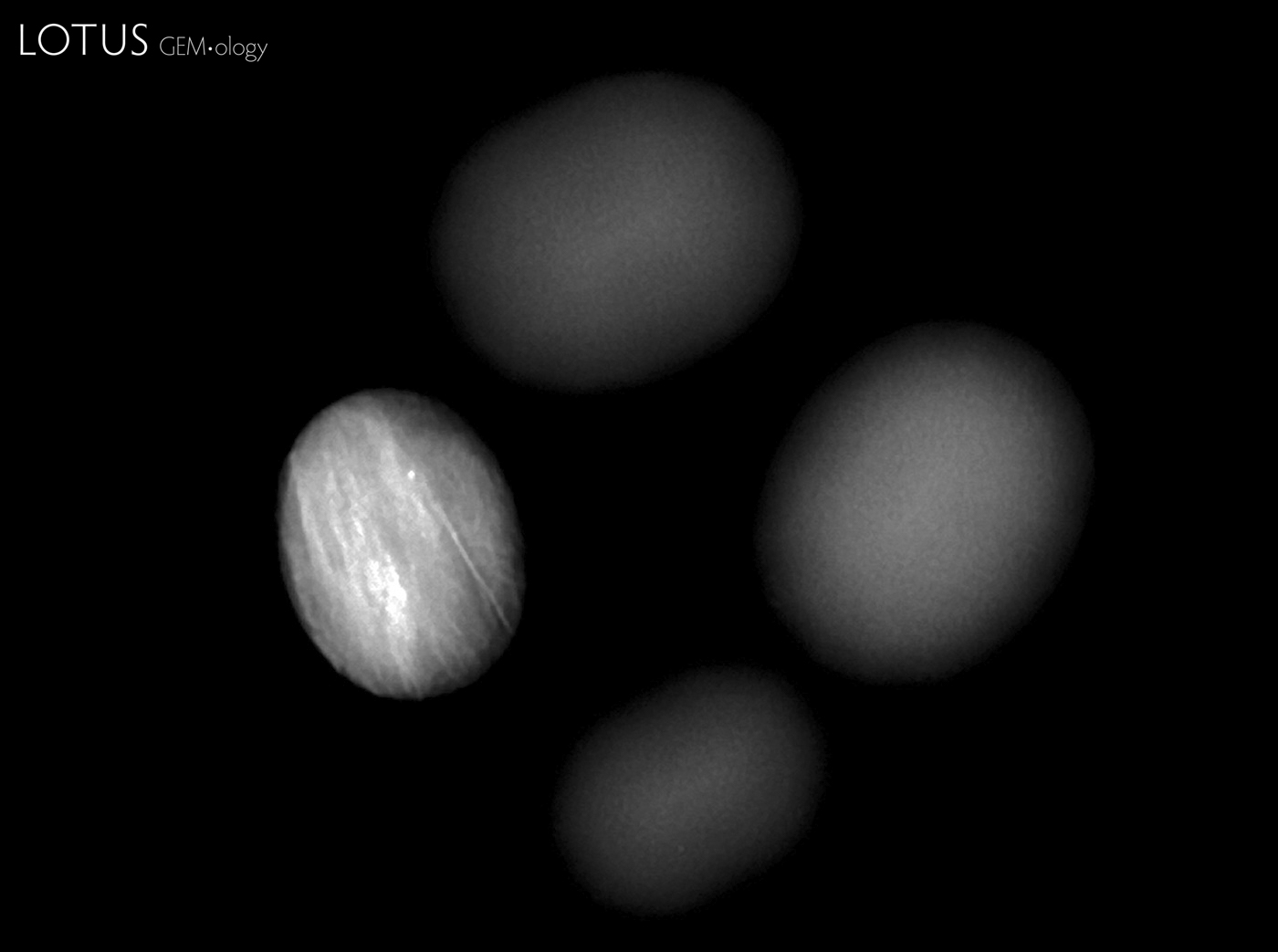 Figure 14. X-ray image of the new generation cobalt-doped glass-filled sapphire (left), showing opaque areas along the fractures. In contrast, a natural sapphire (top), an original Tanusorn-treated sapphire (right) and a Verneuil synthetic sapphire show no such x-ray opacity in the fissures. Image: GIT