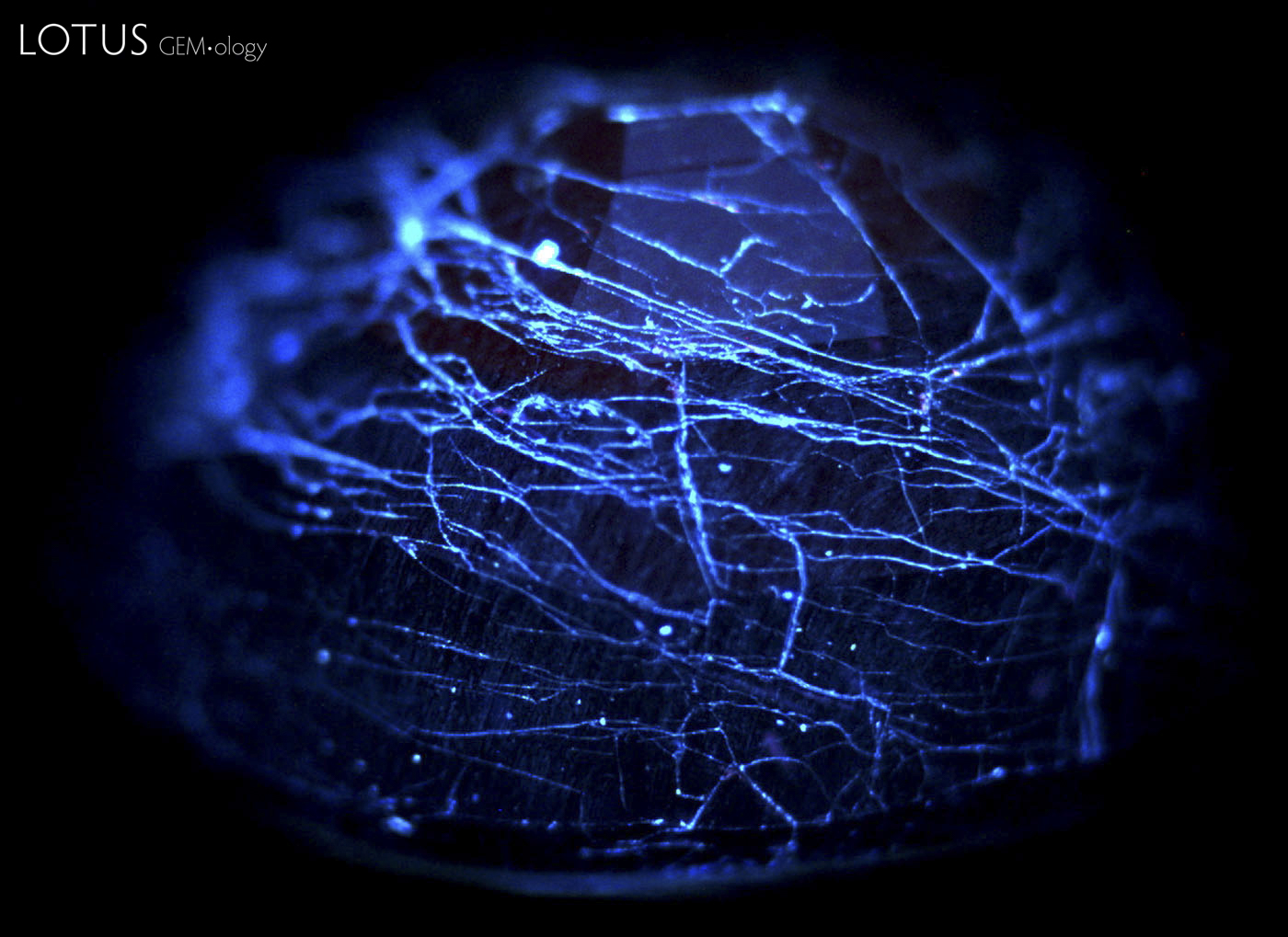 Figure 13. DiamondView&trade; image of a cobalt-doped glass-filled sapphire, showing chalky blue fluorescence from the glass-filled fissures. Image: GIT