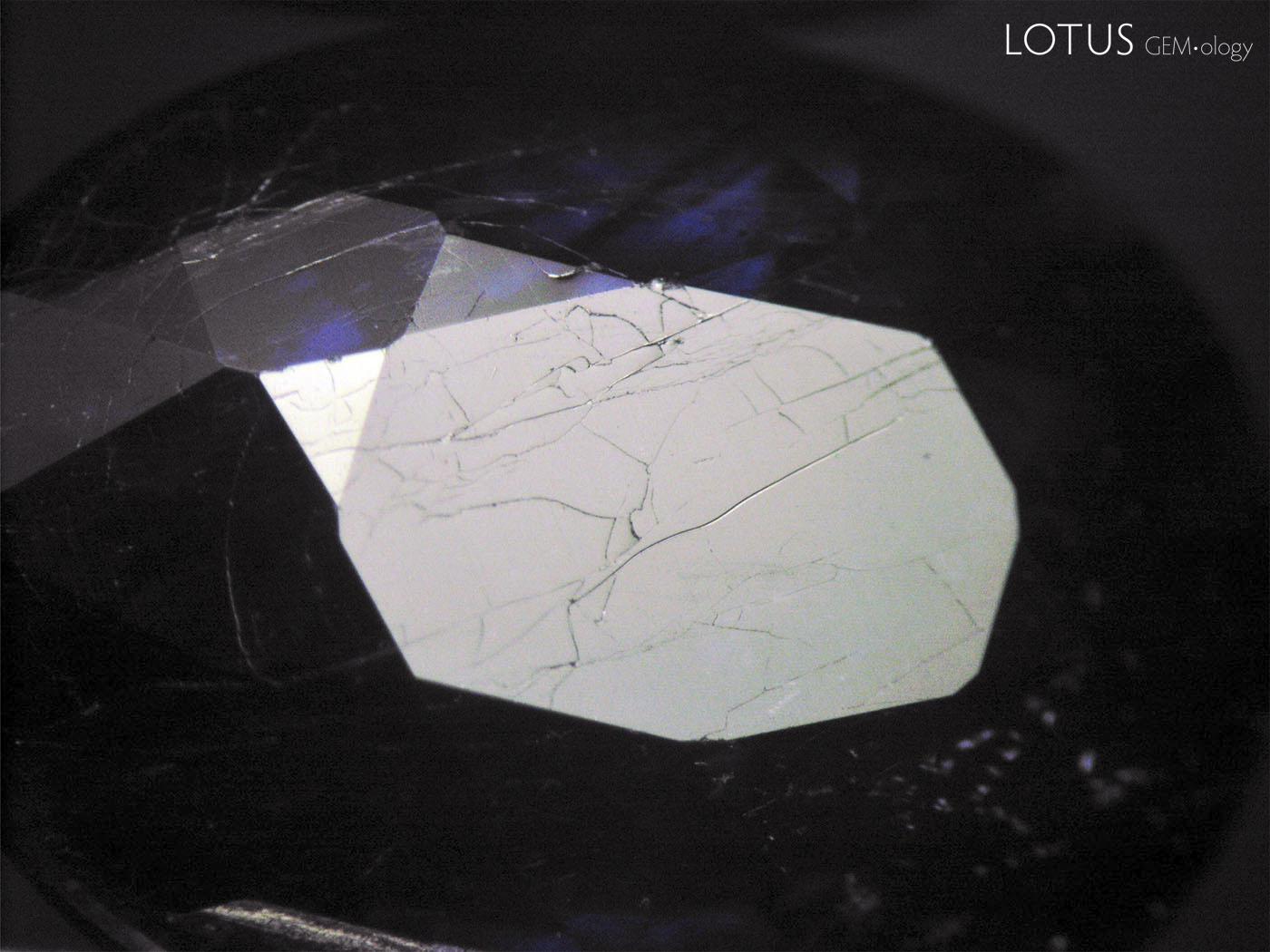 Figure 18. Table facet of one cobalt-doped glass-filled sapphire before (left) and after (right) heating with a jeweler&rsquo;s torch. (Photos: Thanong Leelawatanasuk).