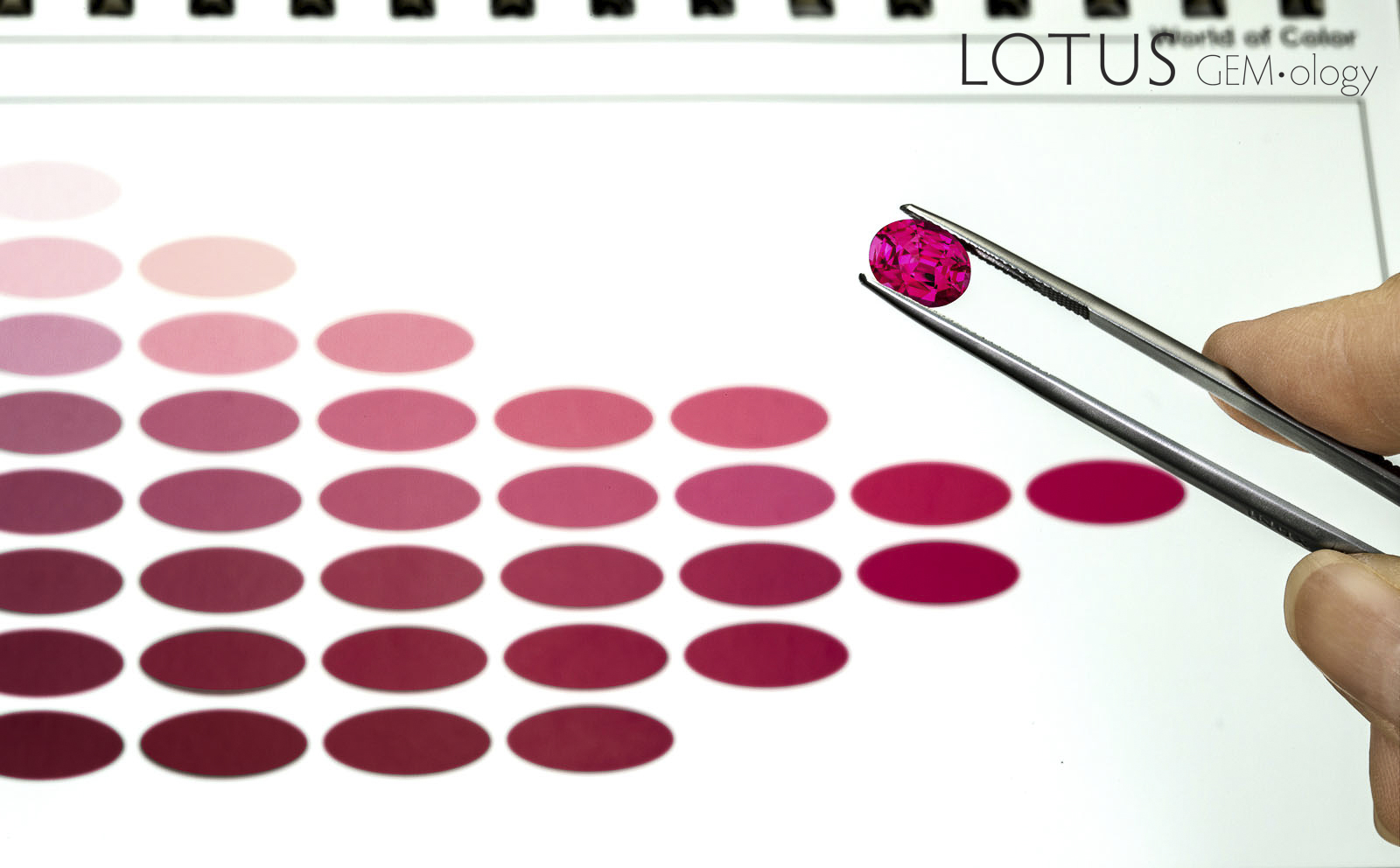 Color Comparison