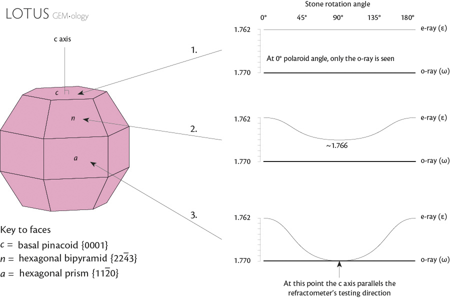 Figure 2. RI readings for different faces on corundum. Corundum is uniaxial negative. Illustration &copy;&nbsp;Richard W. Hughes